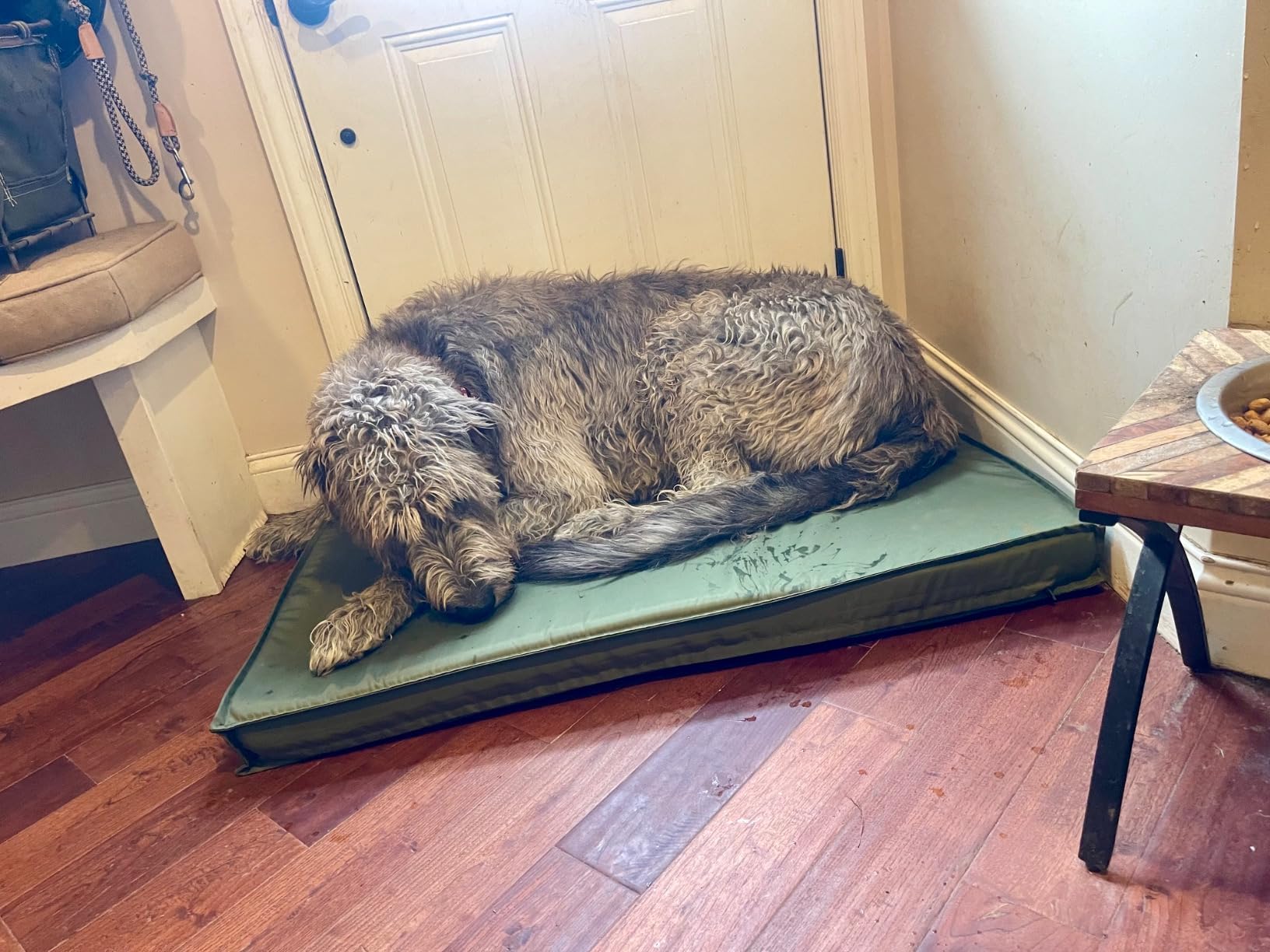 LE SURE Outdoor Waterproof Dog Beds Large Sized,Orthopedic Pet Mat,36x27In customer photo 2