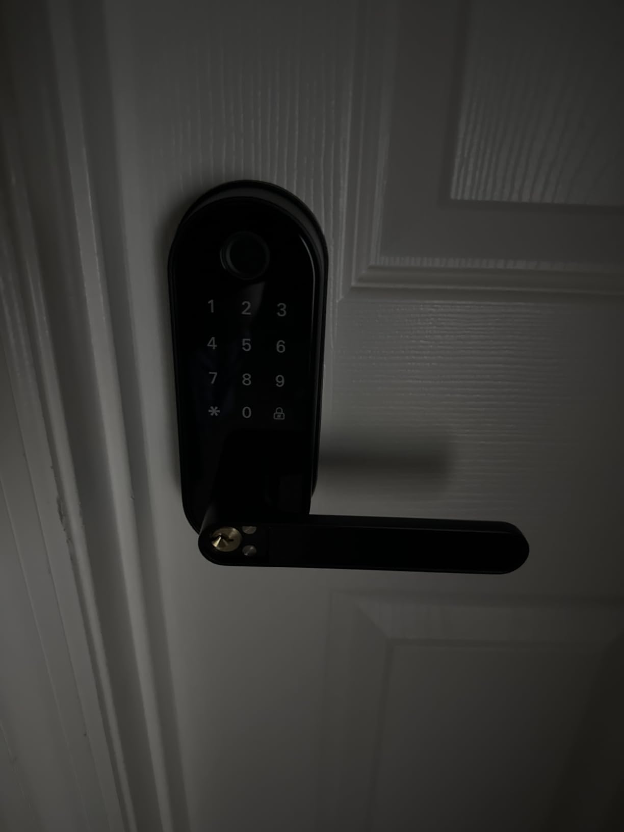 Bluetooth Fingerprint Smart Lock with Handle & Keypad – Fits Most US Doors, DIY Install, Keyless Entry: Code, FOB, Auto-Lock. Ideal for Home, Airbnb, Rental, Kids, Seniors. Alexa & Google Compatible customer photo 2