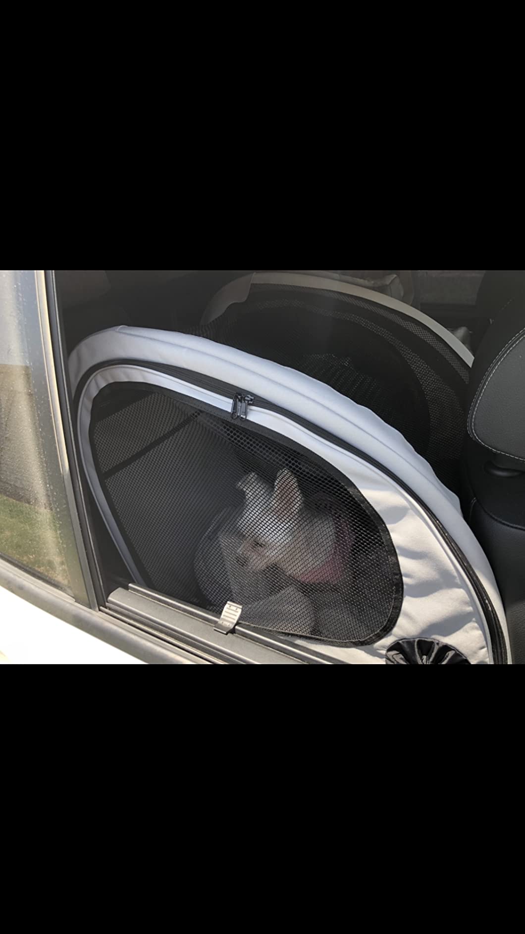 PetSafe Happy Ride Collapsible Travel Dog Crate customer photo 1