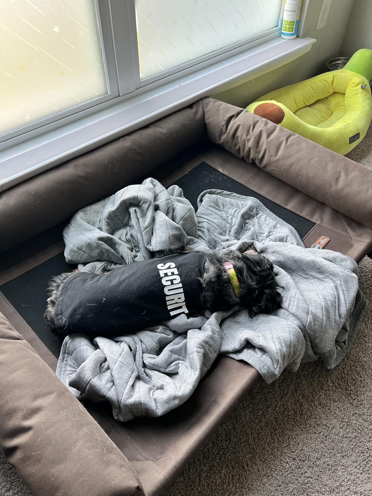 K&H Outdoor Elevated Dog Bed, Bolster Pet Cot, Medium 32x25in, Charcoal customer photo 2