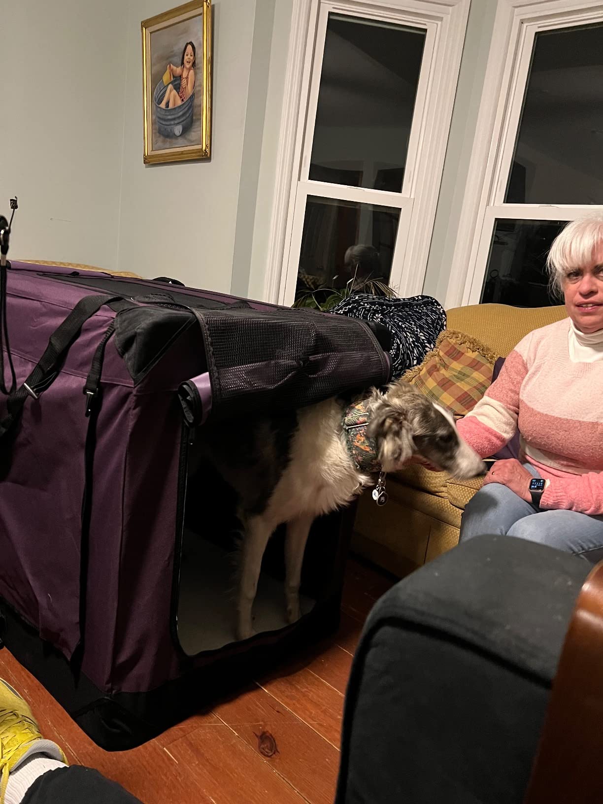 EliteField 4-Door Folding Soft Dog Crate with Curtains (2-Year Warranty) customer photo 2