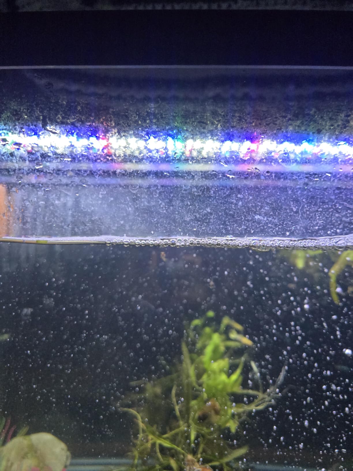 SEAOURA Led Aquarium Light for Plants Growth, Fish Tank Light 12-18 Inch customer photo 1