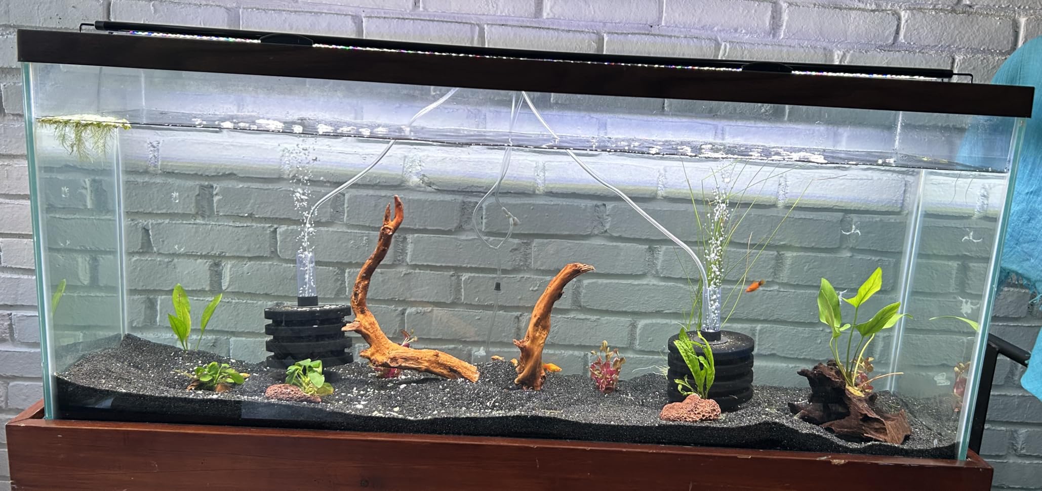 SEAOURA Led Aquarium Light for Plants Growth, Fish Tank Light 12-18 Inch customer photo 2