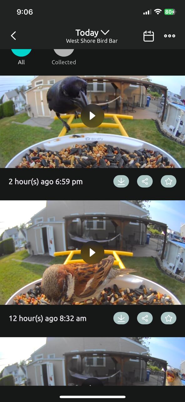 NETVUE by Birdfy Smart Bird Feeder with 2K AI Camera, Value for Beginners customer photo 2