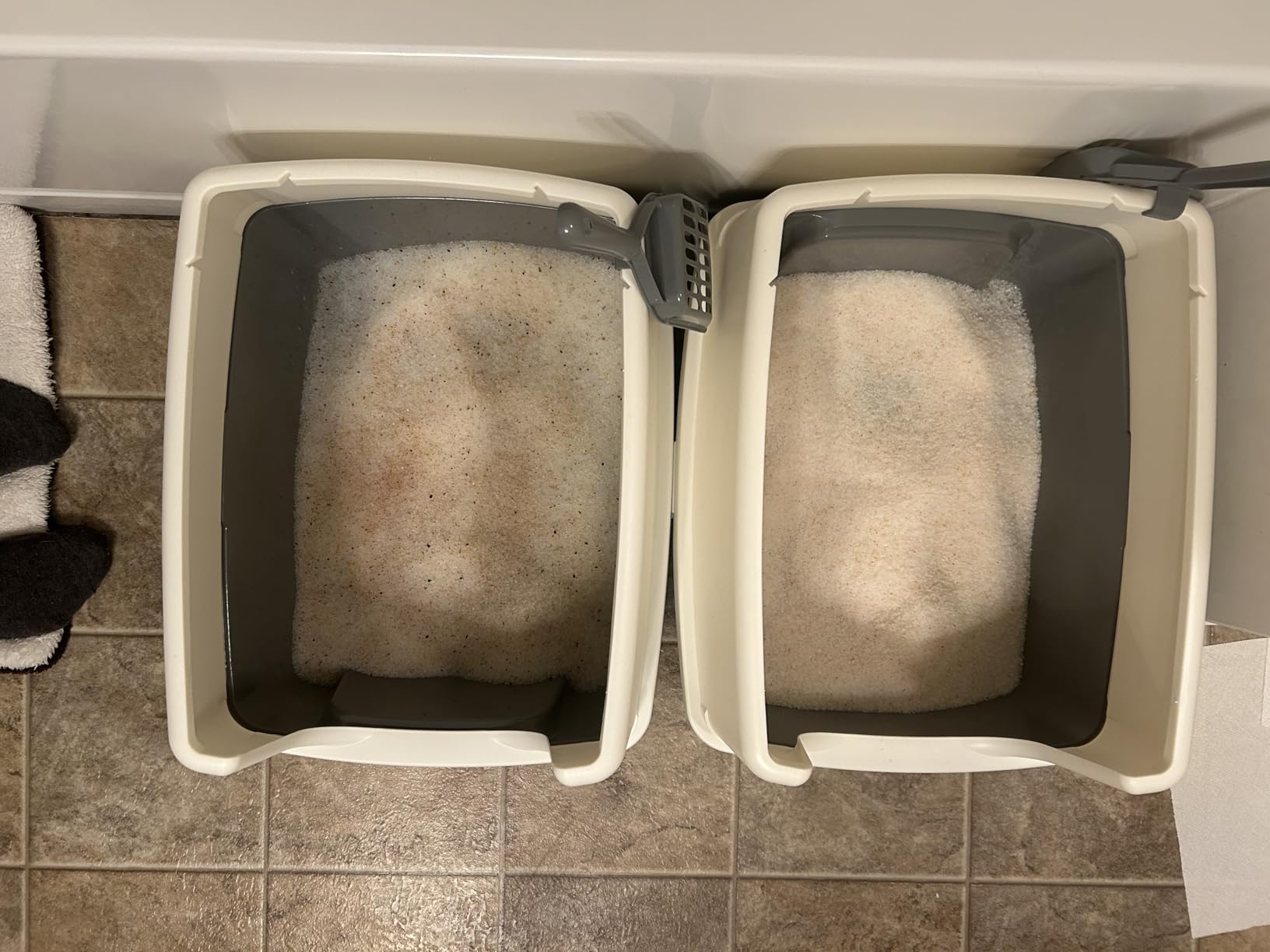 Amazon Basics Large Cat Litter Box with High Sides, Open Top for Easy Access, Includes Scoop with Storage, 19