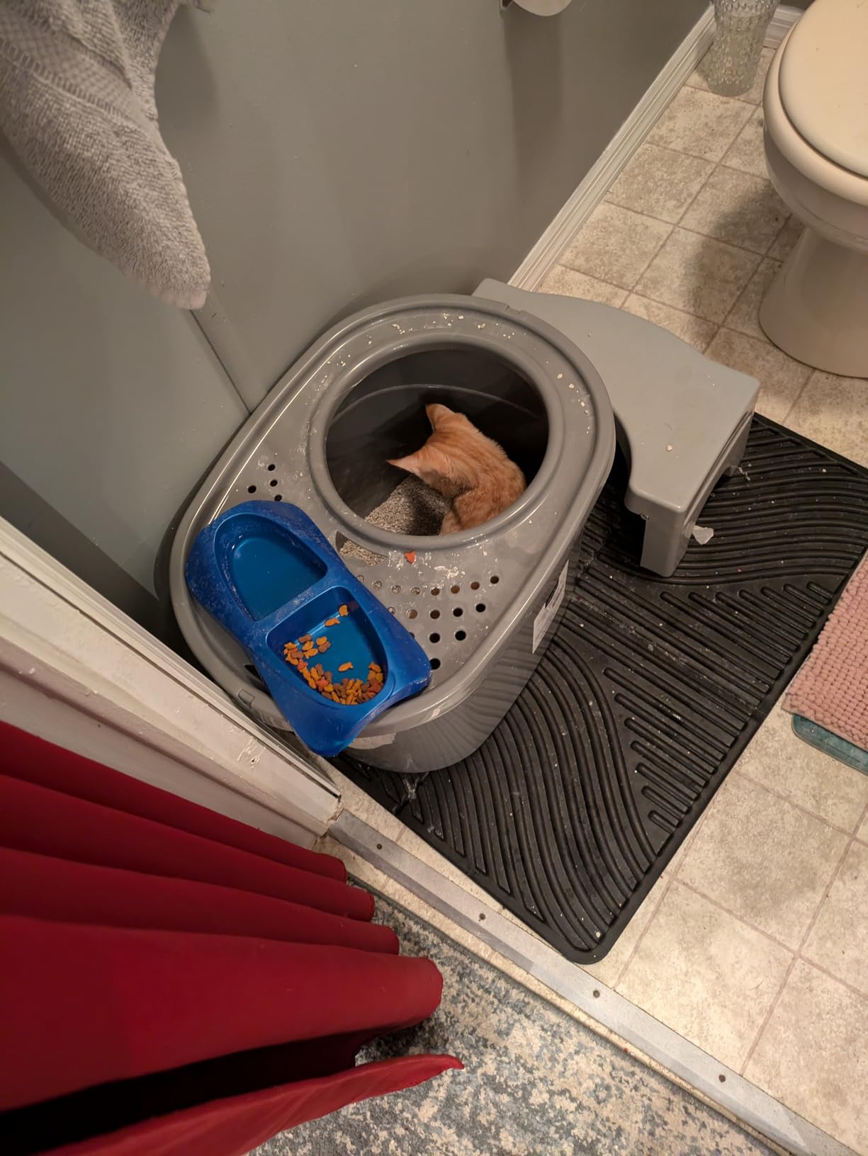 Amazon Basics Large Cat Litter Box with High Sides, Top Entry, Odor Control, Includes Scoop, 20.5 x 14.75 x 14.38 inches, Grey customer photo 1
