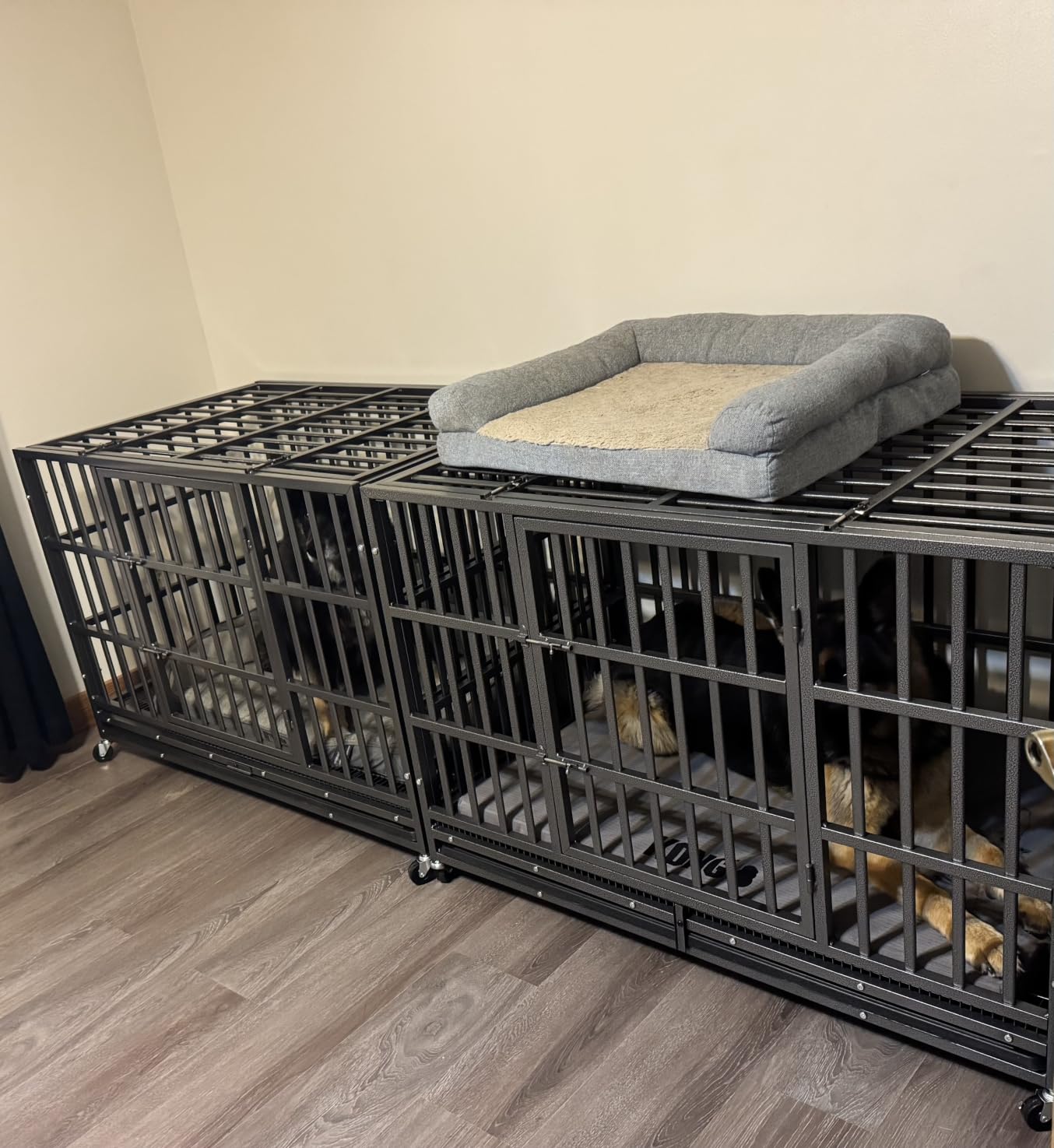 Hiwokk 48 Inch Heavy Duty Dog Crate, Indestructible Kennel for Large Dogs customer photo 2