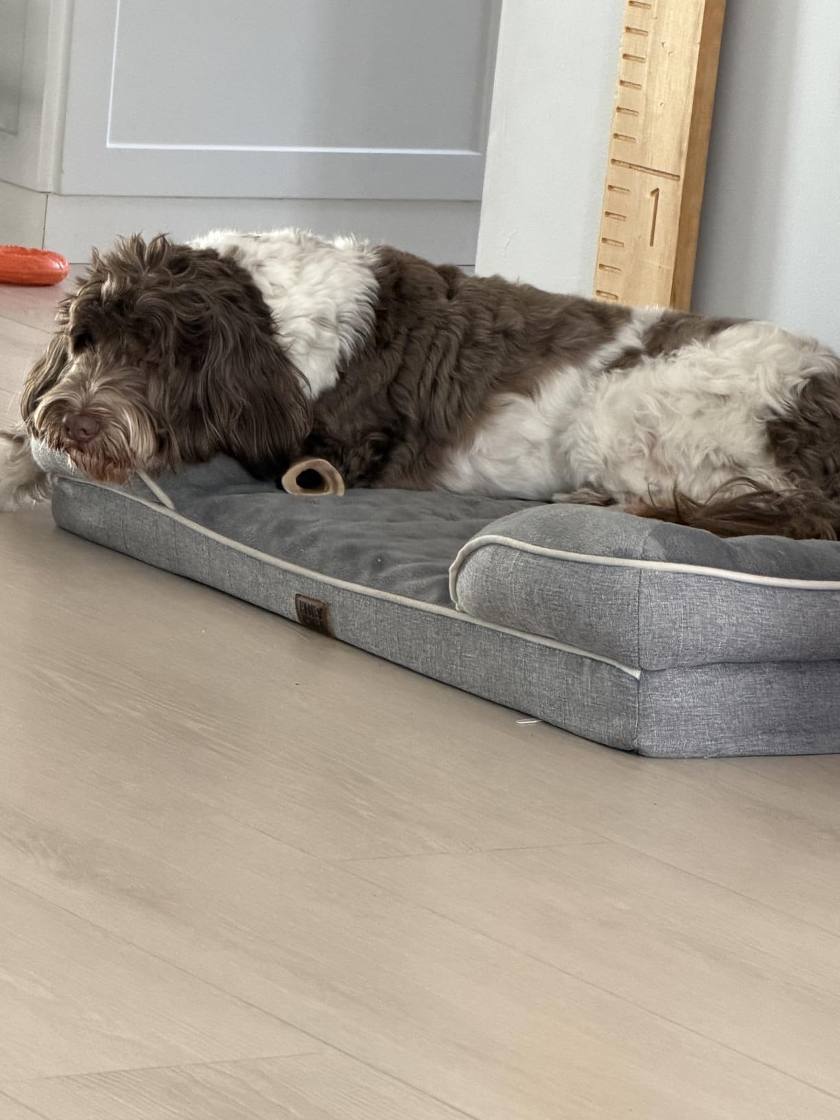 EHEYCIGA Orthopedic Dog Beds Large Sized Dog, Waterproof Memory Foam Pet Bed with Sides, Non-Slip Bottom Large Pet Bed with Washable Removable Cover, Grey customer photo 1