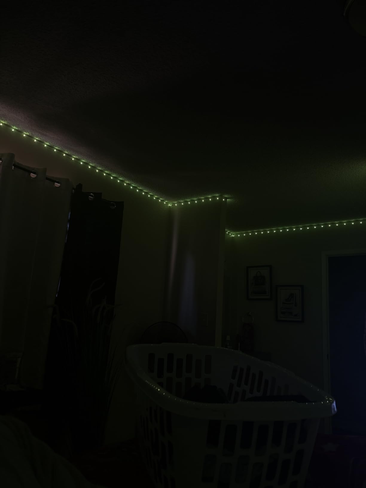dalattin Led Strip Lights 200ft (2 Rolls of 100ft), Led Lights for Bedroom with App & Remote Control, 24V Led Lights Strip for Room & Festival Decoration customer photo 1