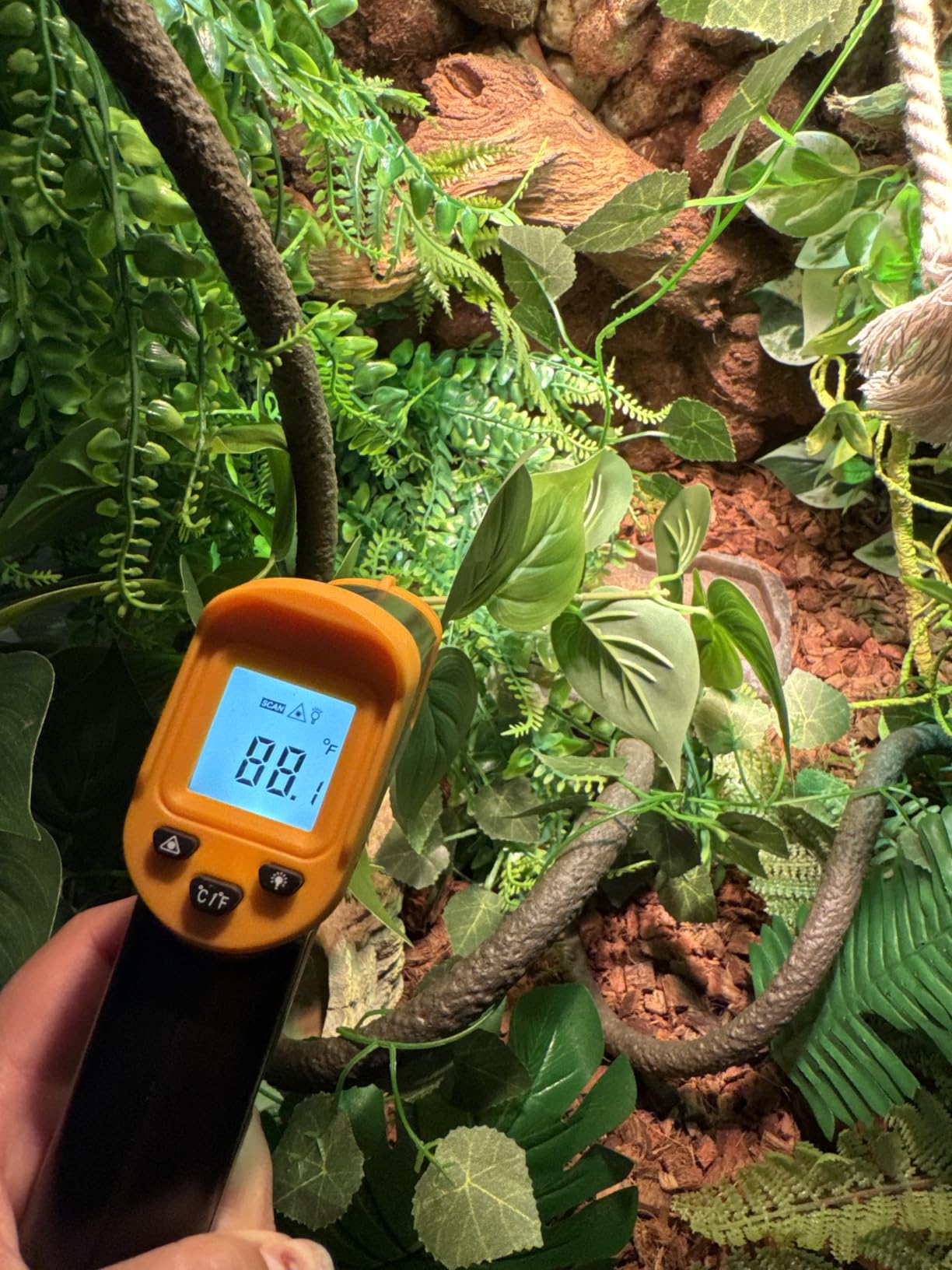 Digital Infrared Thermometer gun for cooking,BBQ,Pizza oven,Ir Thermometer with Backlight,-58℉~932℉(-50℃~500℃) Handheld Non Contact Heat Laser Temperature Gun (Not for Human) customer photo 2