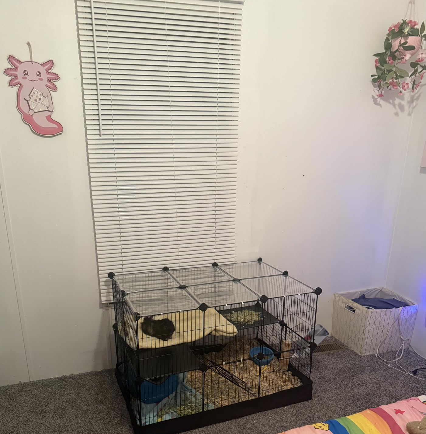 SONGMICS Pet Playpen with Floor, Small Animal Playpen customer photo 1