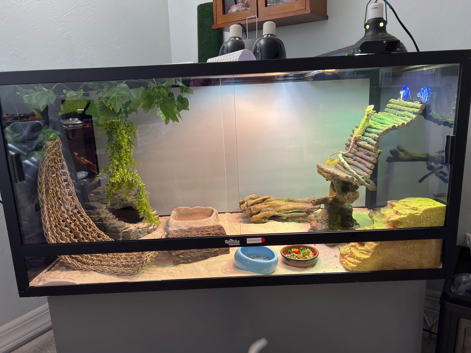 Reptile Habitats 4x2x2 (120 Gallon) Reptile Enclosure V3 PVC Panels, Glass Doors, Lightweight, Easy to Assemble, Heavy Duty Screen, Aluminum Frame customer photo 2
