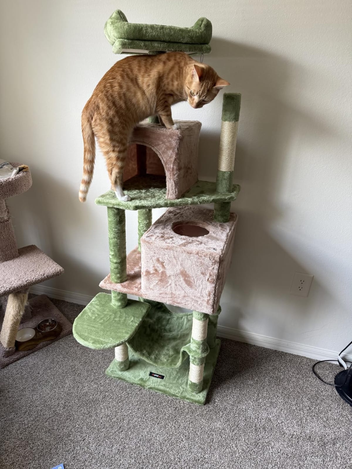 Feandrea Cat Tree, 59.5-Inch Tall Cat Tower, Multi-Level Condo, Light Gray customer photo 2