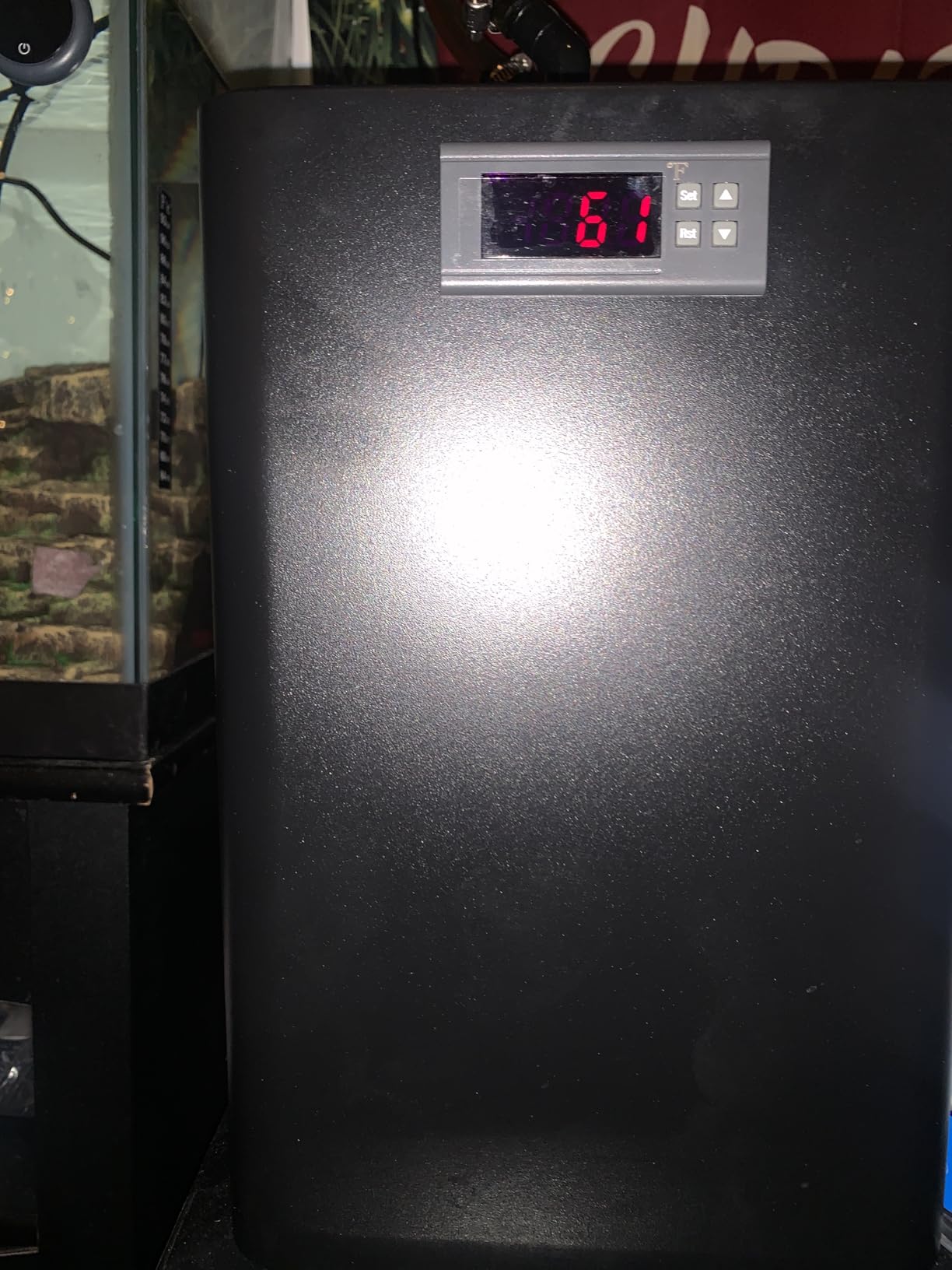 Aquarium Chiller 42gal, 1/10 HP Water Chiller 160L Fish Tank Hydroponics Cooling System with Quiet Design Refrigeration Compressor for Water Weeds Axolotl Jellyfish Coral Shrimp customer photo 1