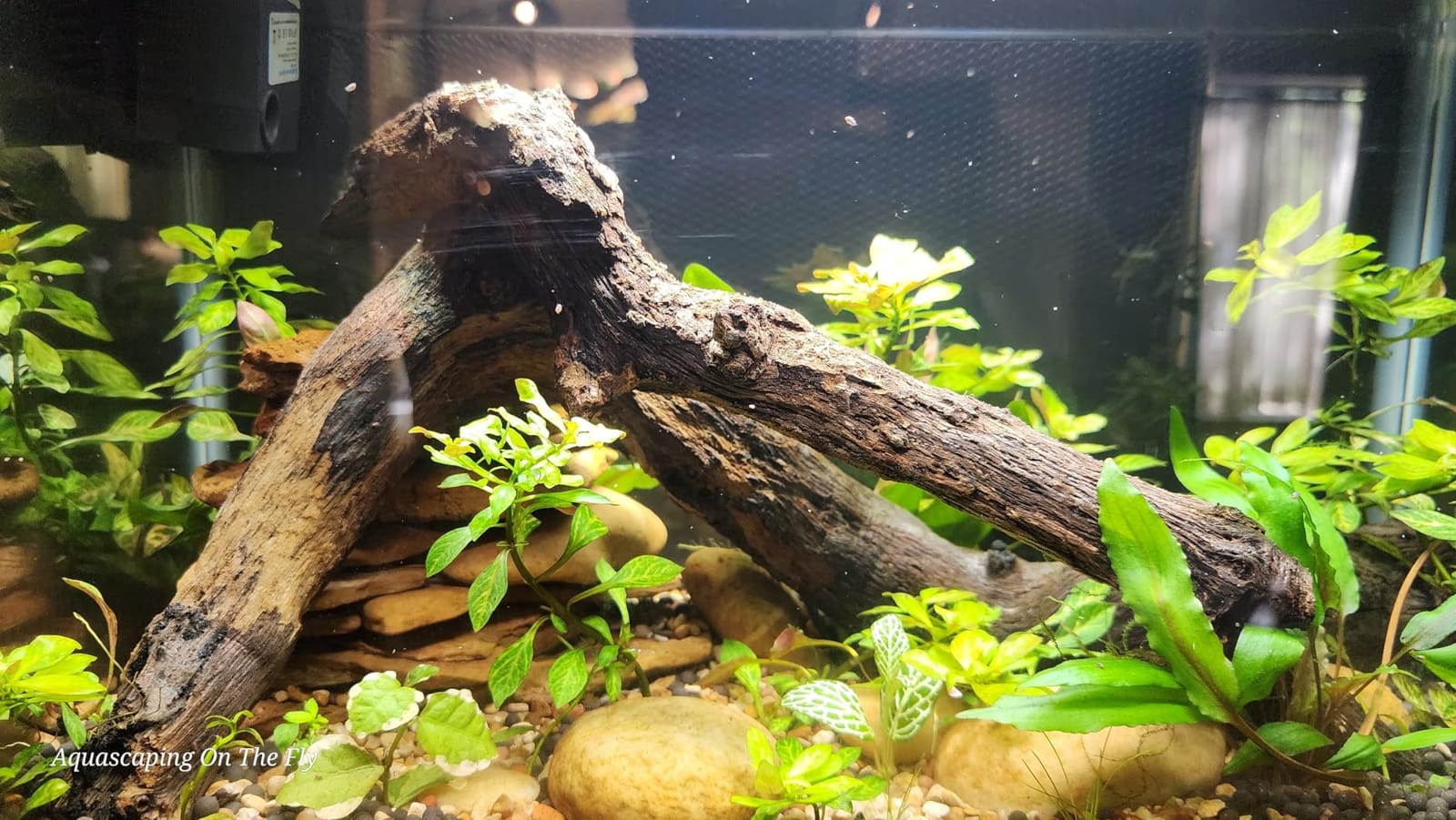 NICREW C10 Plant Aquarium Light, 18-24 in, 13W, Full Spectrum with Timer customer photo 1