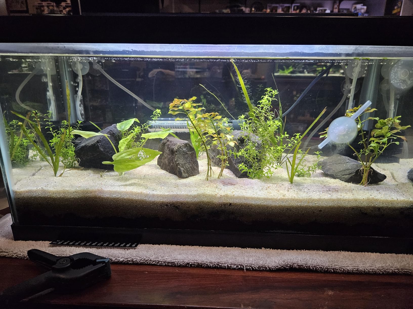 NICREW C10 Plant Aquarium Light, 18-24 in, 13W, Full Spectrum with Timer customer photo 2