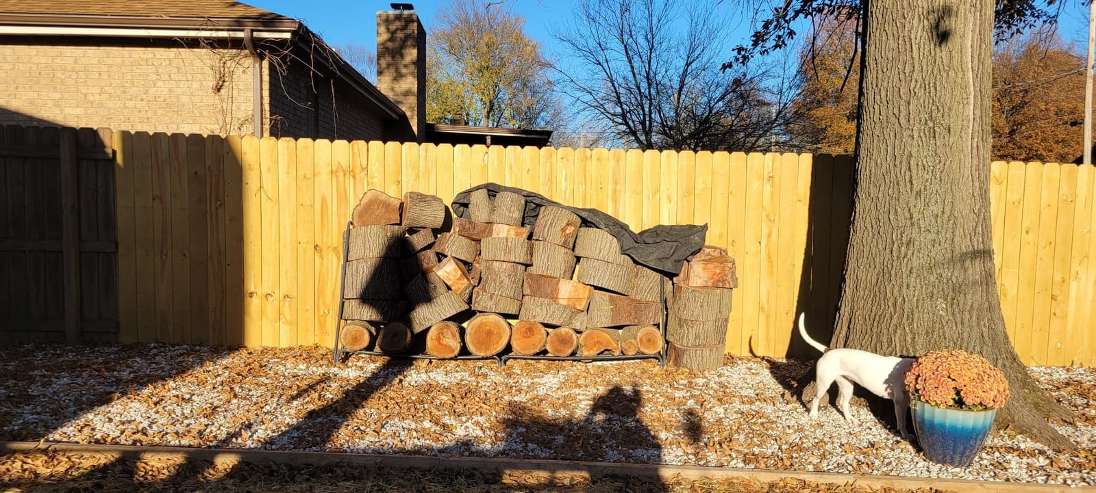 VEVOR 12.7FT Outdoor Firewood Rack with Cover, Firewood Holder for 3/4 Cord customer photo 1