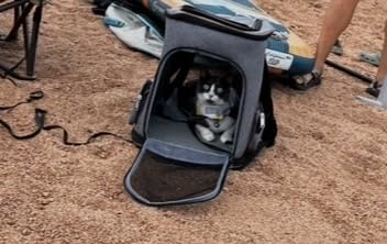 Lekereise Pet Carrier Backpack Expandable Cat Backpack Carrier for Small Dogs Large Cats Puppies, Dog Backpack Carrier for Hiking Travel Outdoor Hold Pets Up to 20 25 Lbs, Black customer photo 2