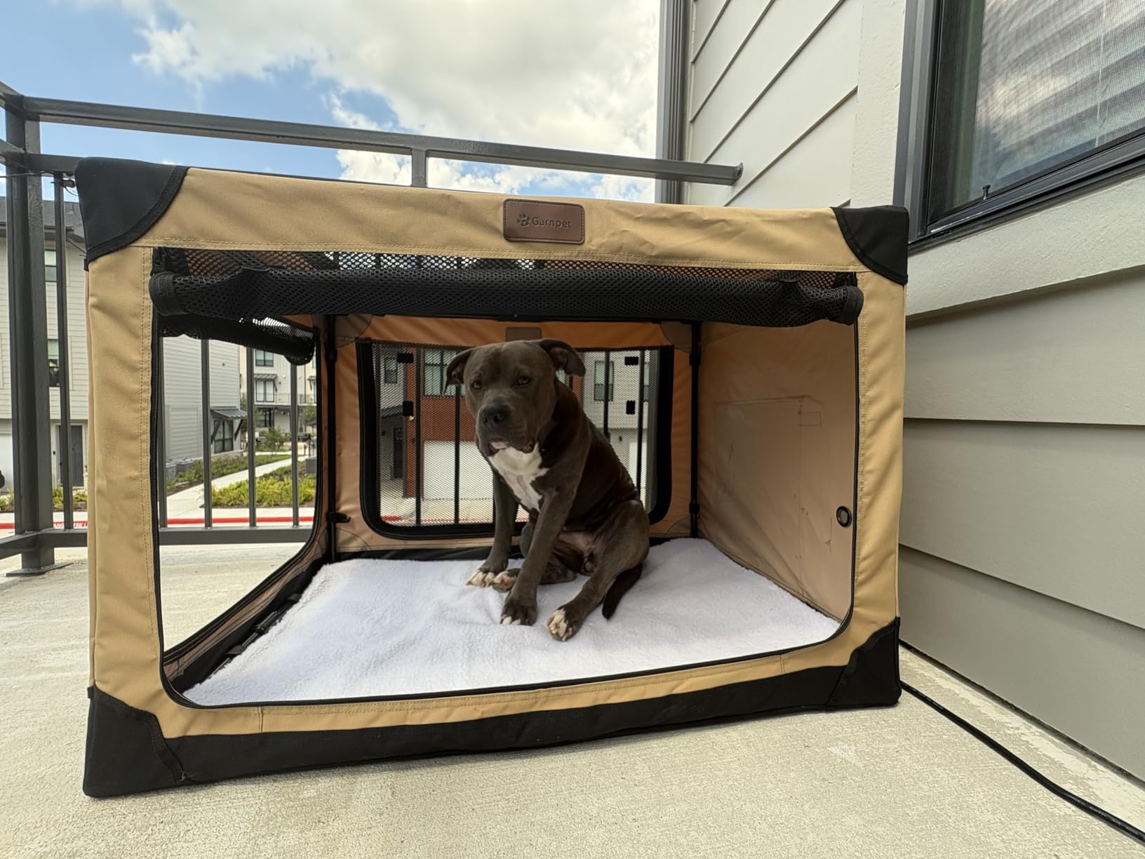 Garnpet 36 Inch Collapsible Soft Dog Crate for Large Dogs, 4-Door Foldable Travel Dog Kennel with Durable Mesh Windows for Indoor & Outdoor Portable Pet Crate, Soft Side Dog Crate, Beige customer photo 1