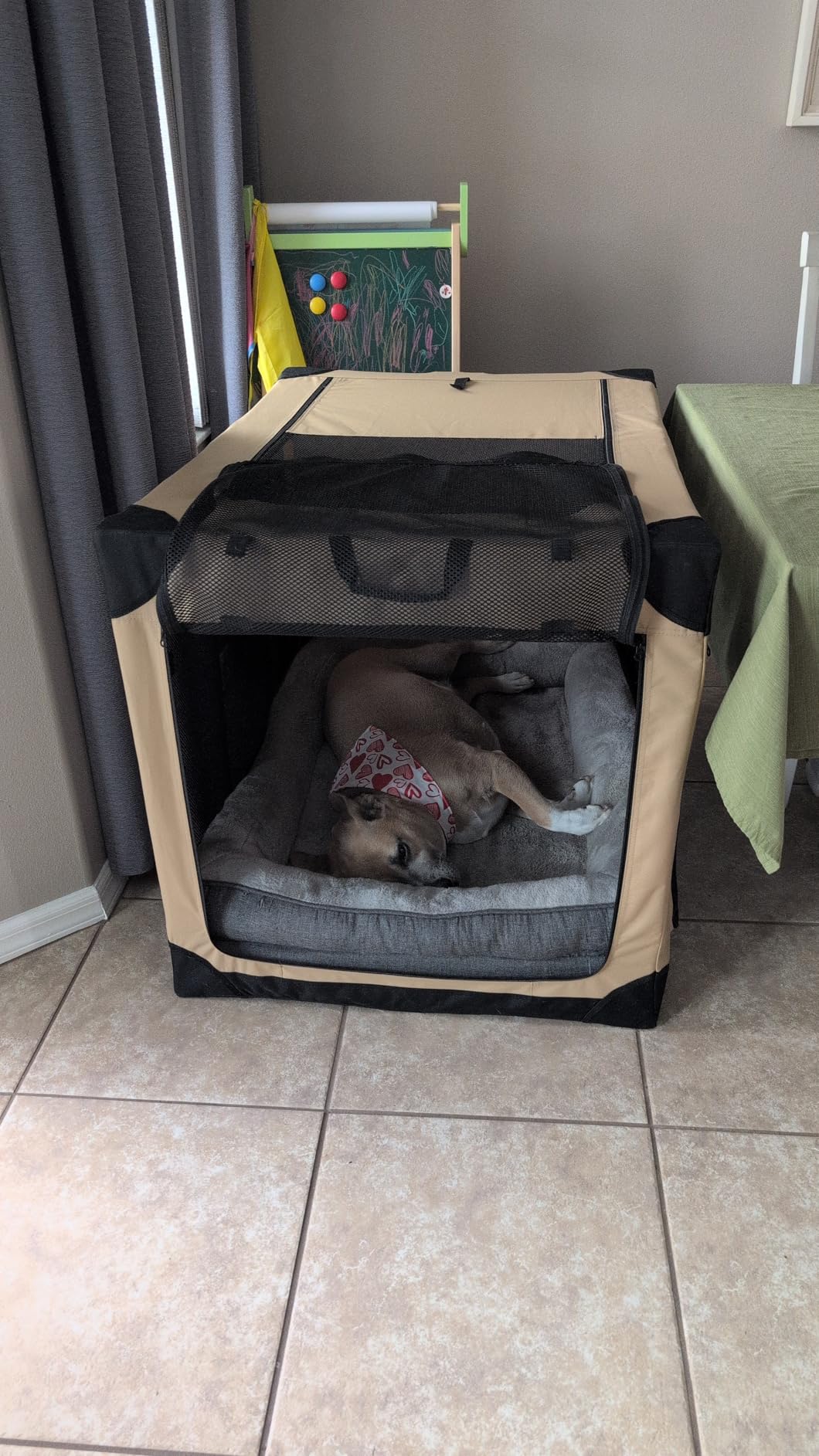 Garnpet 36 Inch Collapsible Soft Dog Crate for Large Dogs, 4-Door Foldable Travel Dog Kennel with Durable Mesh Windows for Indoor & Outdoor Portable Pet Crate, Soft Side Dog Crate, Beige customer photo 2