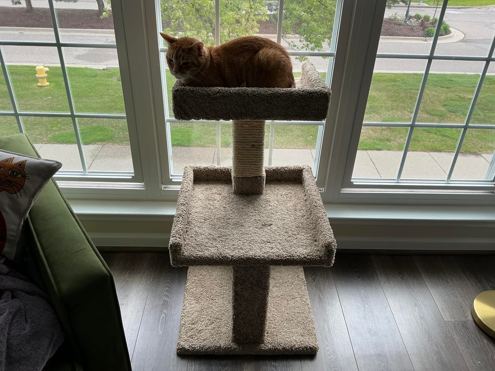New Cat Condos Spacious Cat Perch for Large Cats customer photo 2