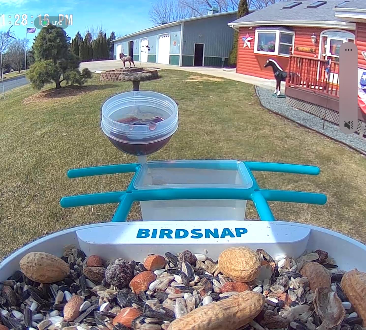birdsnap® TUC Bird Feeder with Camera Solar Powered 2K Video with 32GB Card customer photo 1