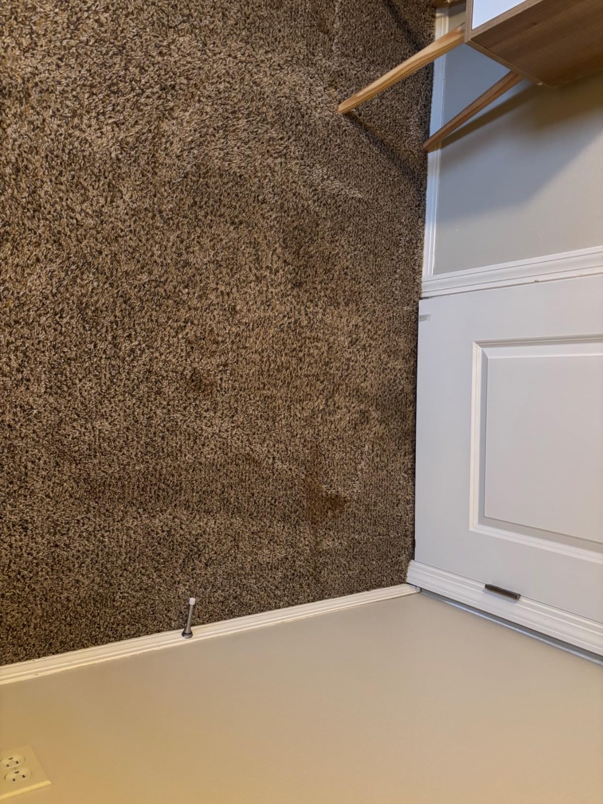 BISSELL TurboClean Pet XL Upright Carpet Cleaner, 3746 customer photo 1