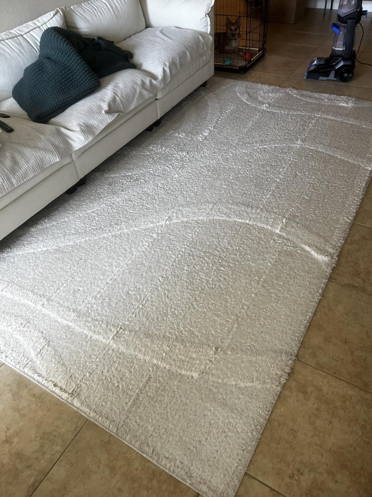 BISSELL TurboClean Pet XL Upright Carpet Cleaner, 3746 customer photo 2