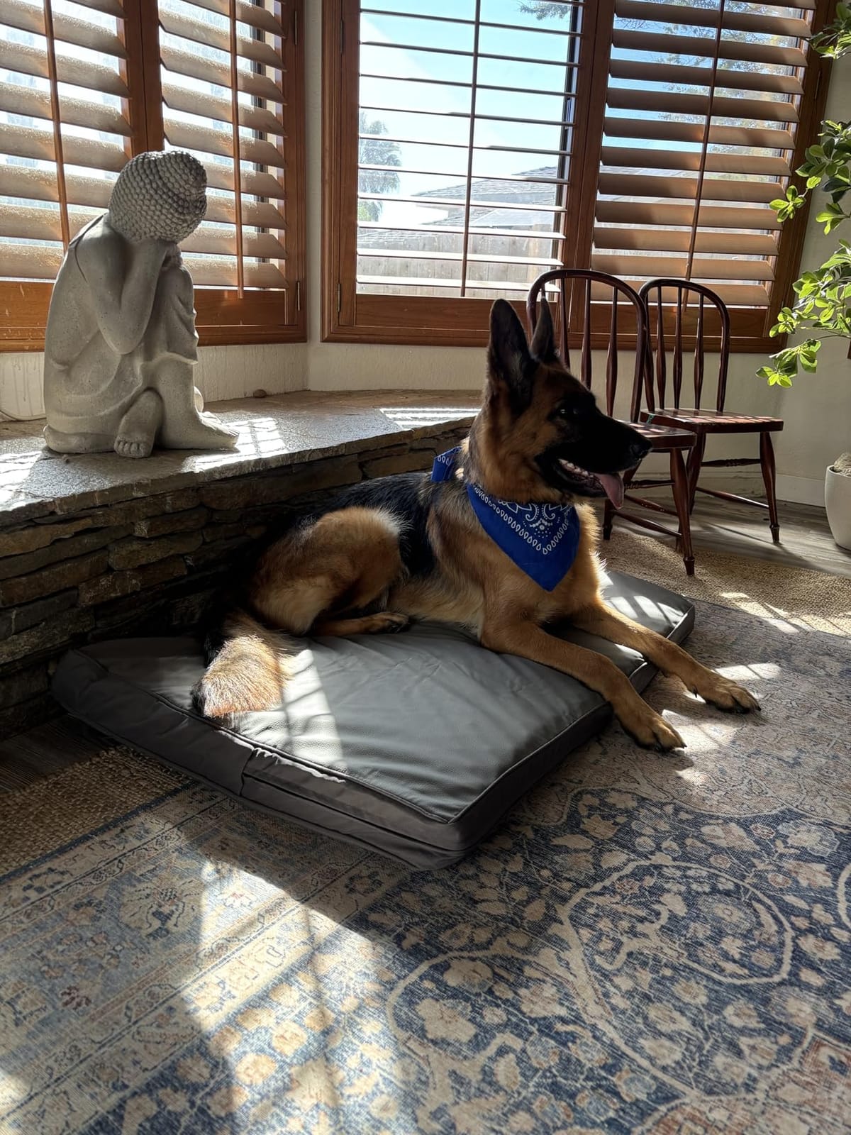 Waterproof Outdoor Dog Bed Large Sized Washable Crate Pad Orthopedic 35*22