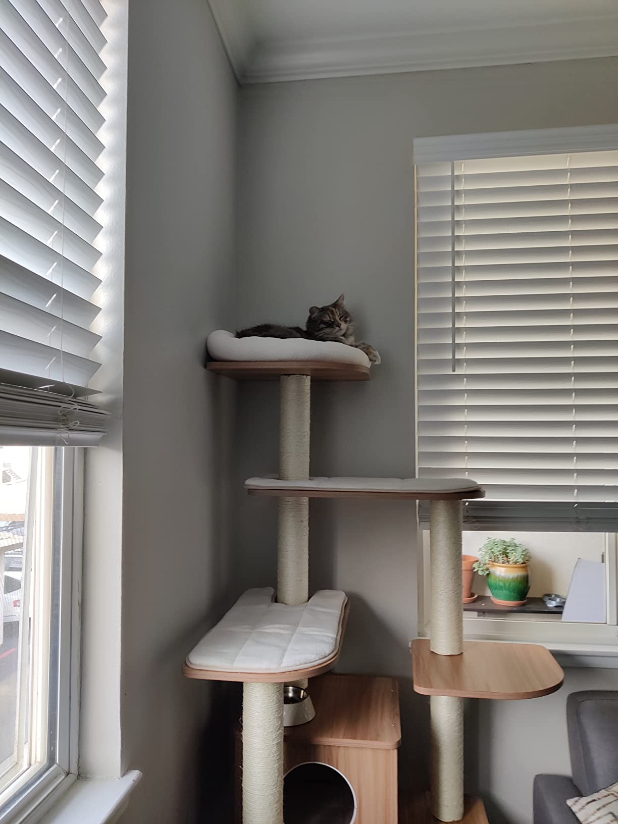 Tangkula Tall Cat Tree, 71-Inch Cat Tower with Multi-Layer Platform, Modern Wood Cat Tree with Sisal Scratching Posts, Self Groomer, Cat Condo, Washable Cushions for Large Cats 20 lbs Heavy Duty customer photo 1