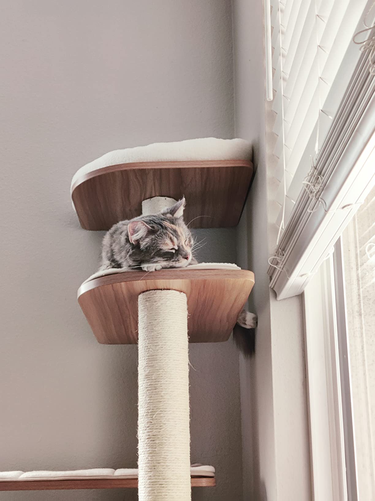 Tangkula Tall Cat Tree, 71-Inch Cat Tower with Multi-Layer Platform, Modern Wood Cat Tree with Sisal Scratching Posts, Self Groomer, Cat Condo, Washable Cushions for Large Cats 20 lbs Heavy Duty customer photo 2