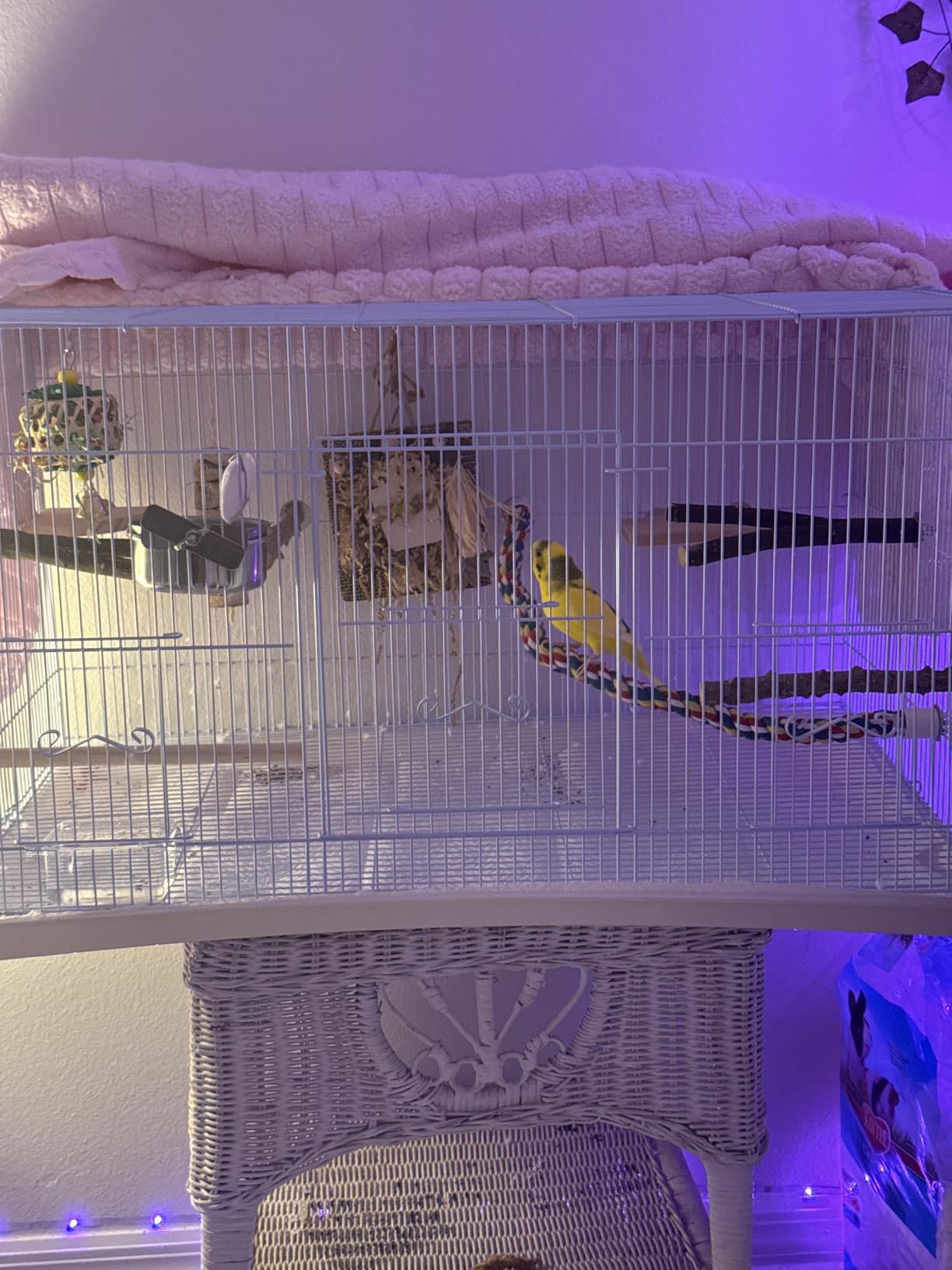 VEVOR 30 Inch Flight Bird Cage, Stackable Bird Cage Parakeet Cage with Slide-Out Tray and Handle, Small Parrots Birdcage for Cockatiels Budgies Conure Macaw Finch Lovebirds Canaries Pigeons customer photo 2