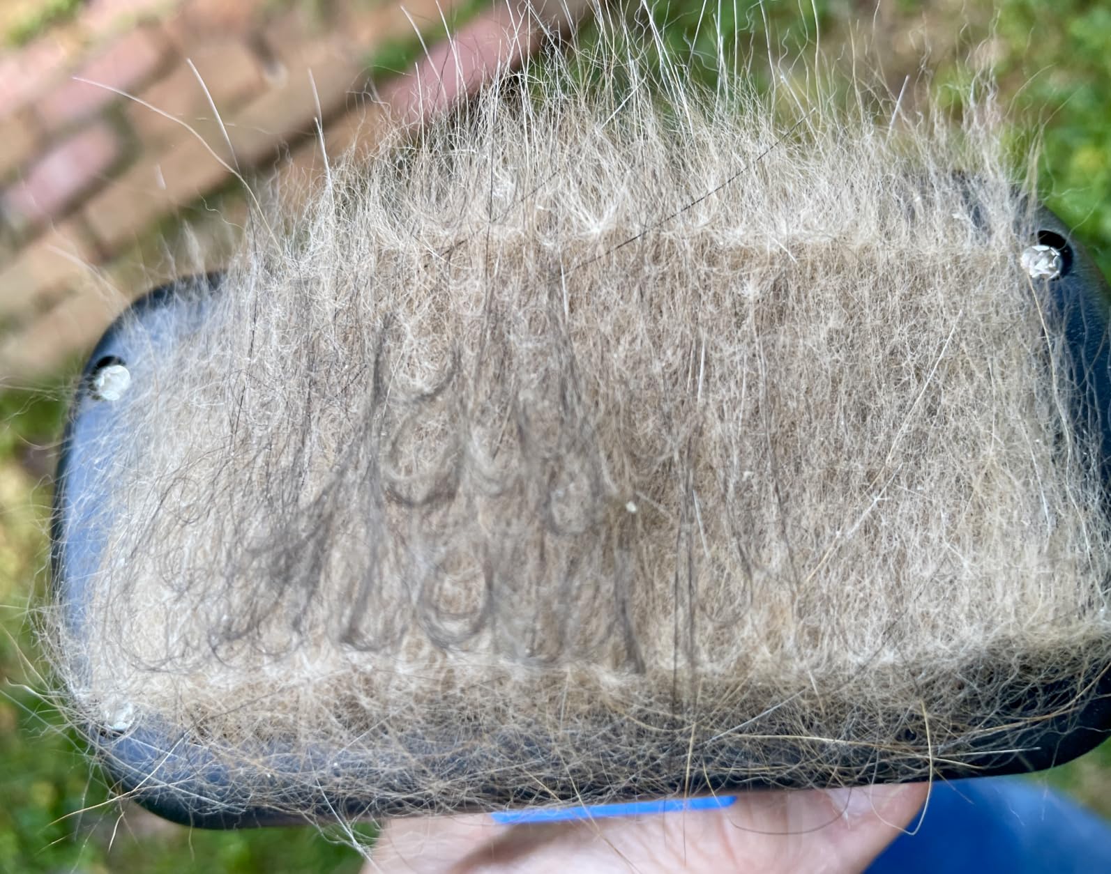 Swihauk Self Cleaning Slicker Brush - Skin Friendly Deshedding Grooming Tool for Dogs & Cats, Suitable for Shedding & Haired Pets, with Pet Supplies Accessories, Blue customer photo 1