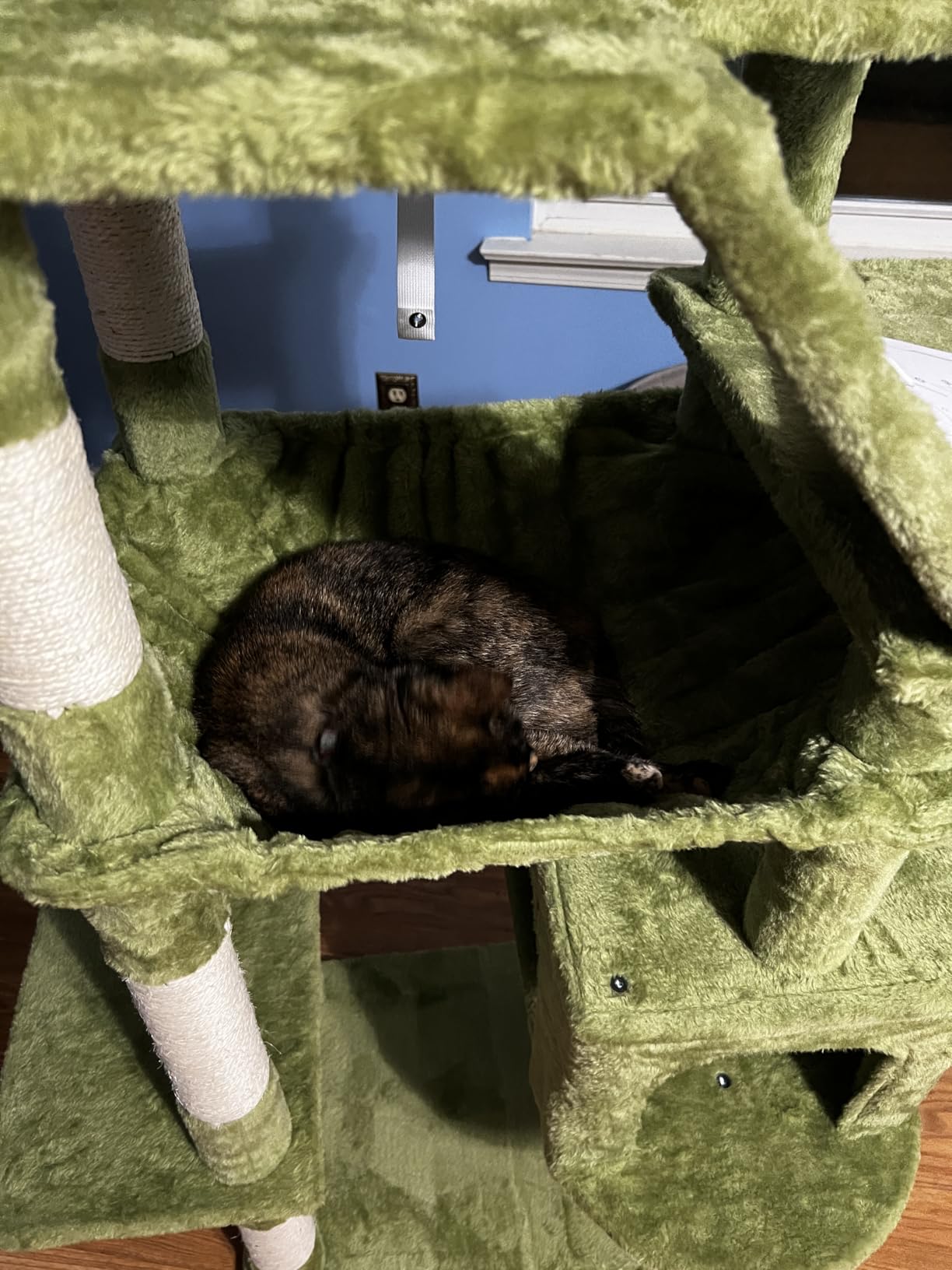 Heybly Cat Tree, 68 inch Multi-Level Cat Tower for Indoor Cats HCT025G customer photo 2