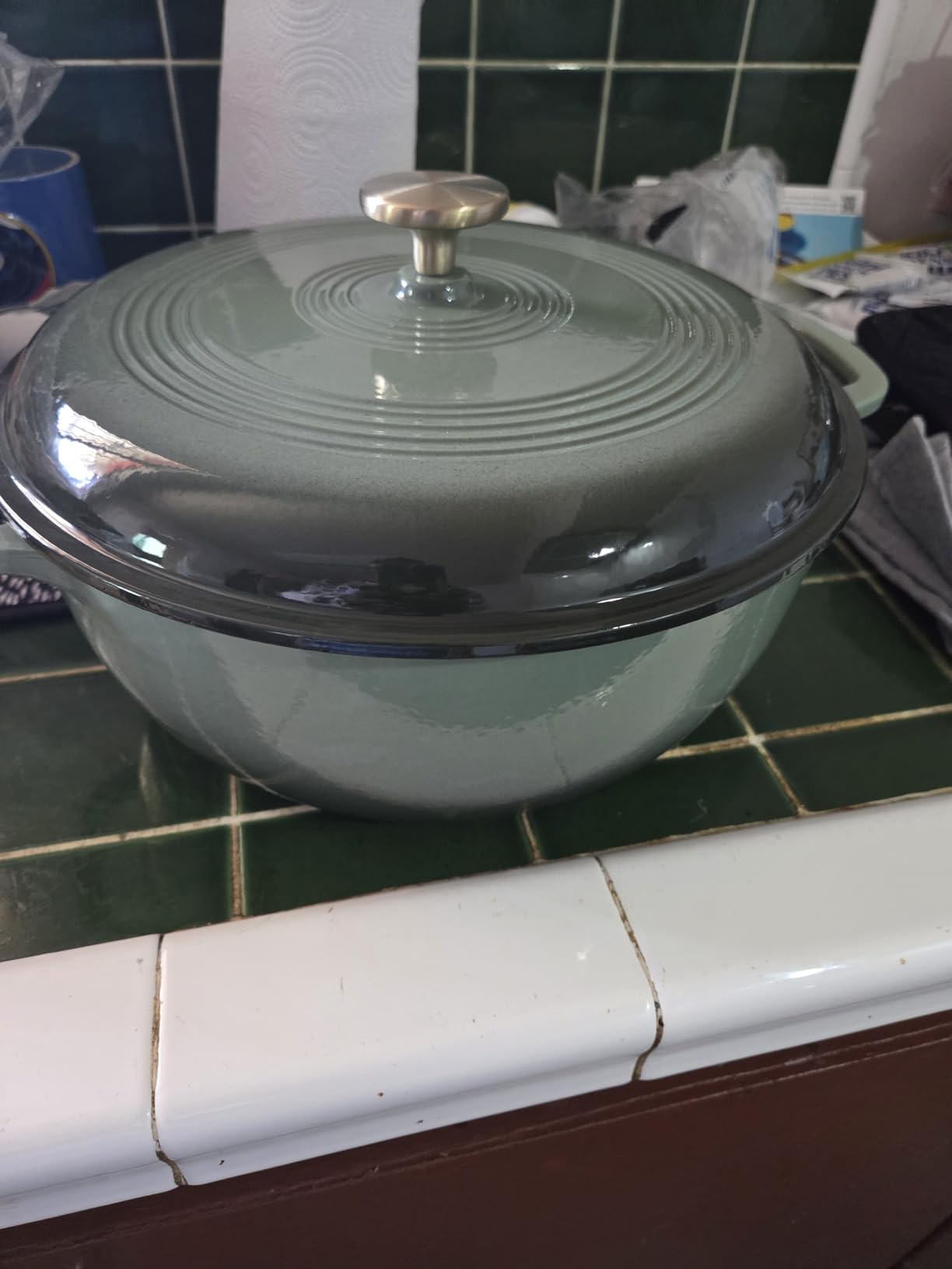 Best Choice Products 6 Quart Enamel Cast-Iron Round Dutch Oven, Family Style Heavy-Duty Pre-Seasoned Cookware for Home, Kitchen, Dining Room, Oven Safe w/Lid, Dual Handles - Sage Green customer photo 2