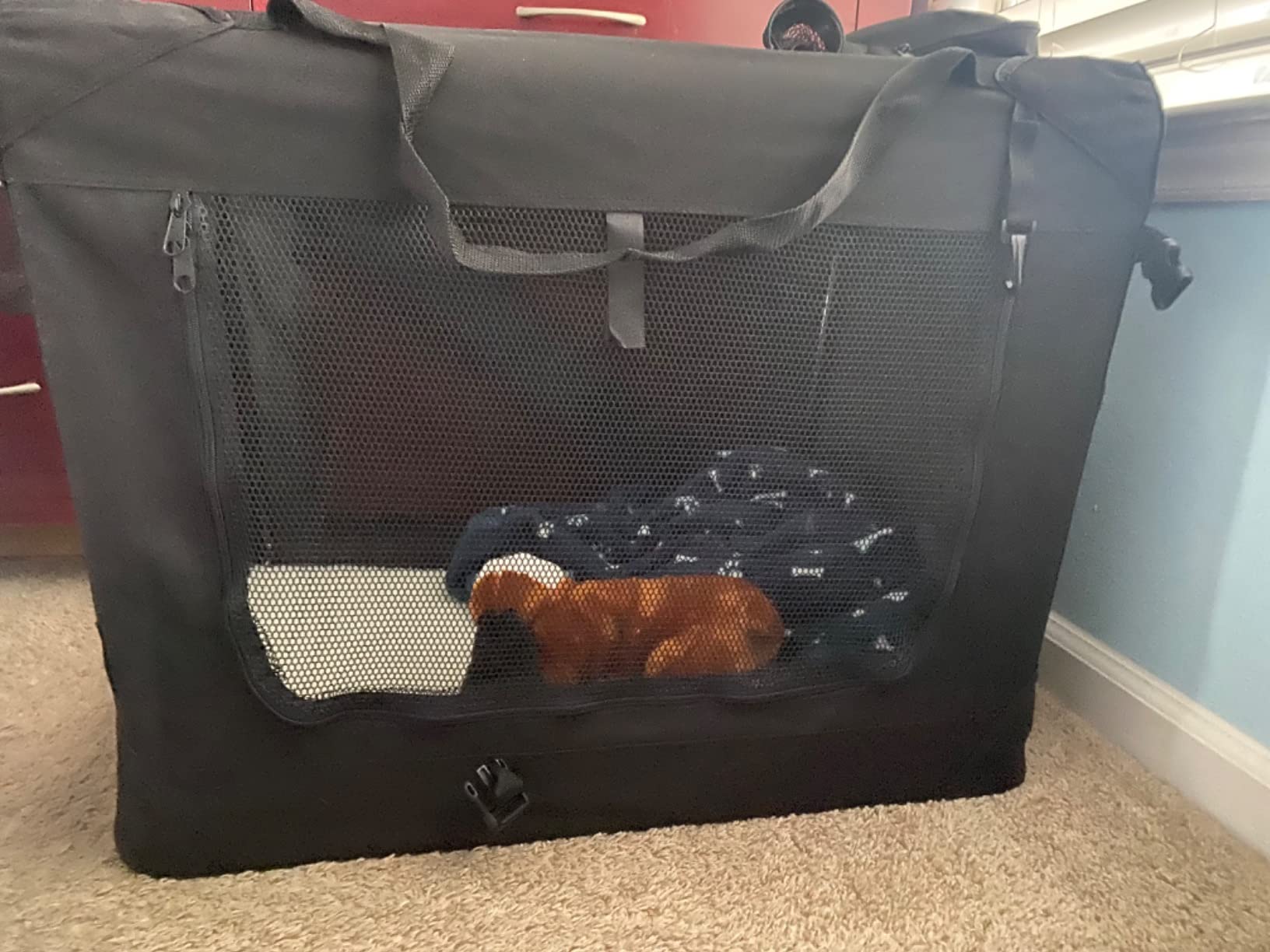 JESPET 3 Door Soft Dog Crates Kennel, Collapsible Travel Pet Carrier customer photo 2