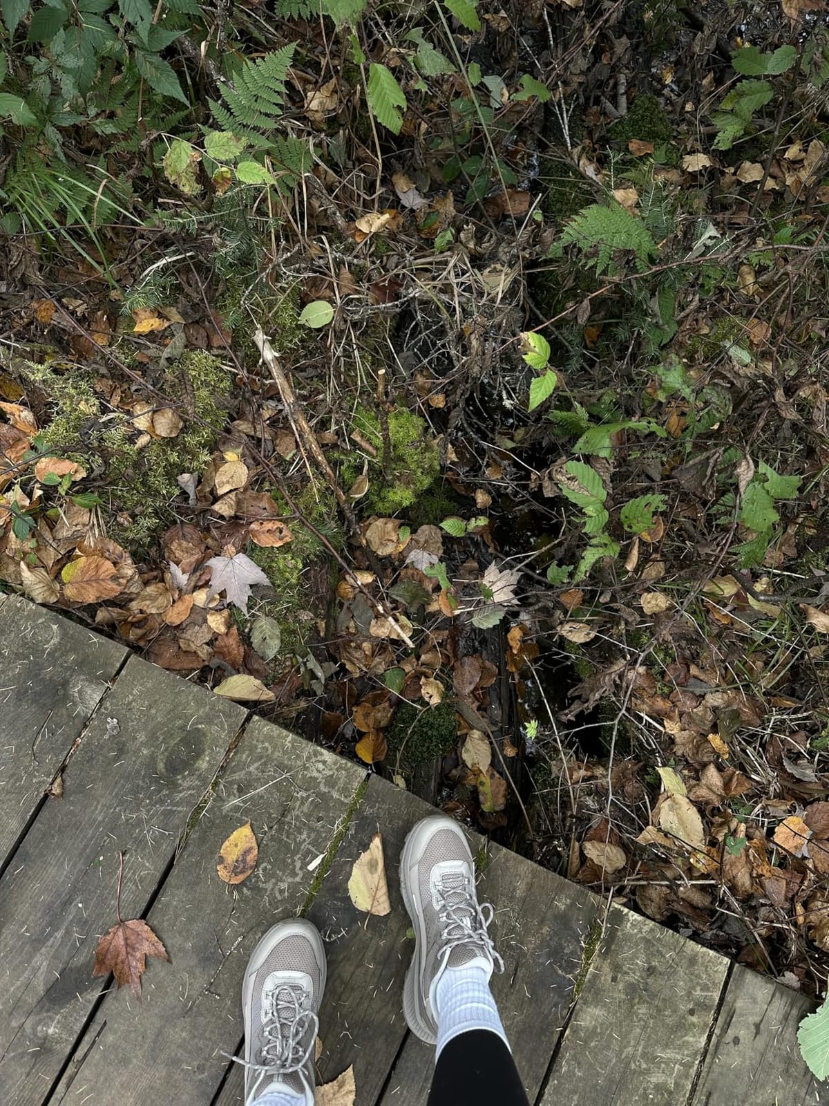 Merrell Women's Speed Strike 2 customer photo 1