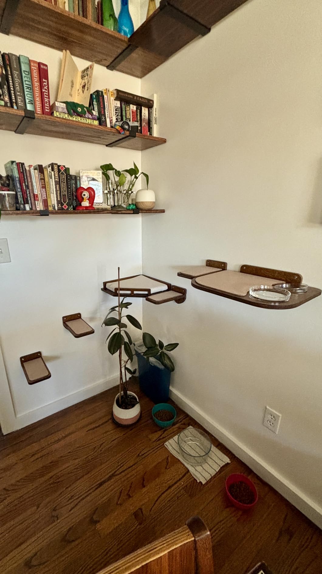 INICIO Cat Wall Shelves and Steps, 4-Piece Wooden Cat Wall Furniture Set customer photo 1