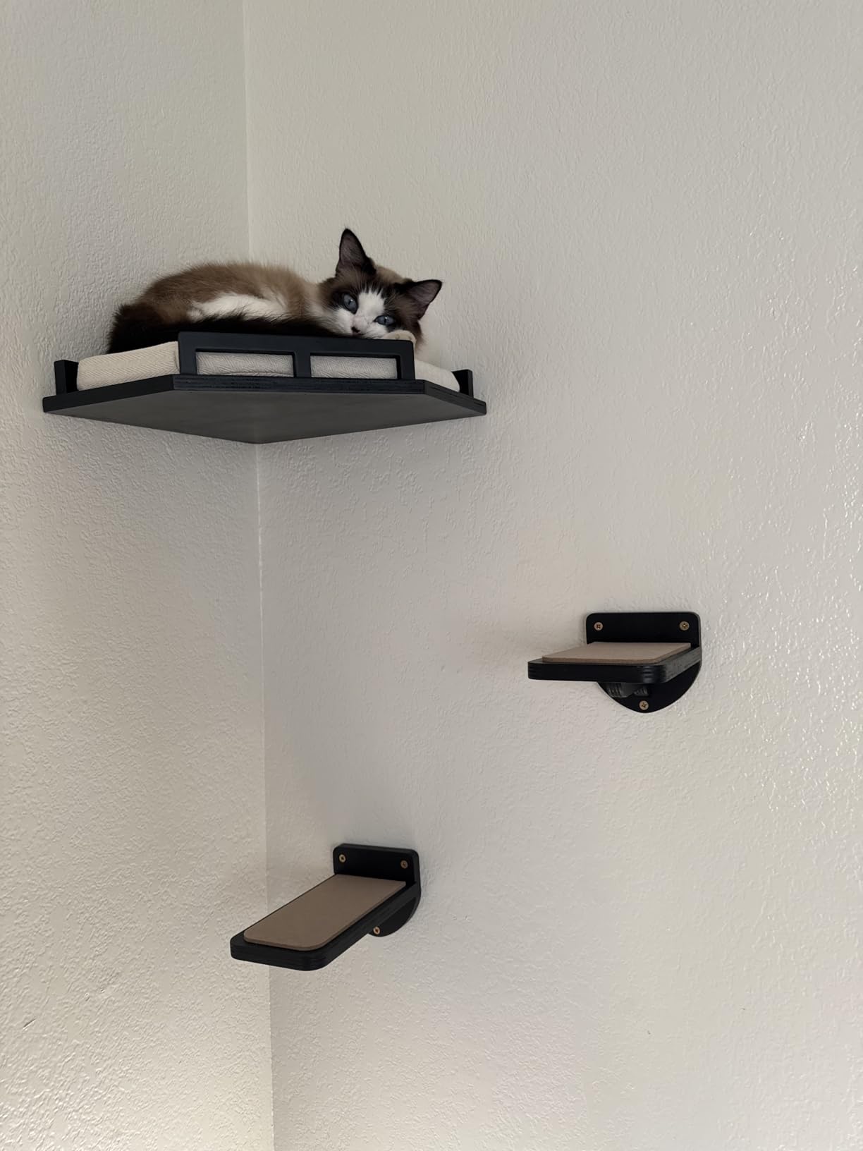INICIO Cat Wall Shelves and Steps, 4-Piece Wooden Cat Wall Furniture Set customer photo 2