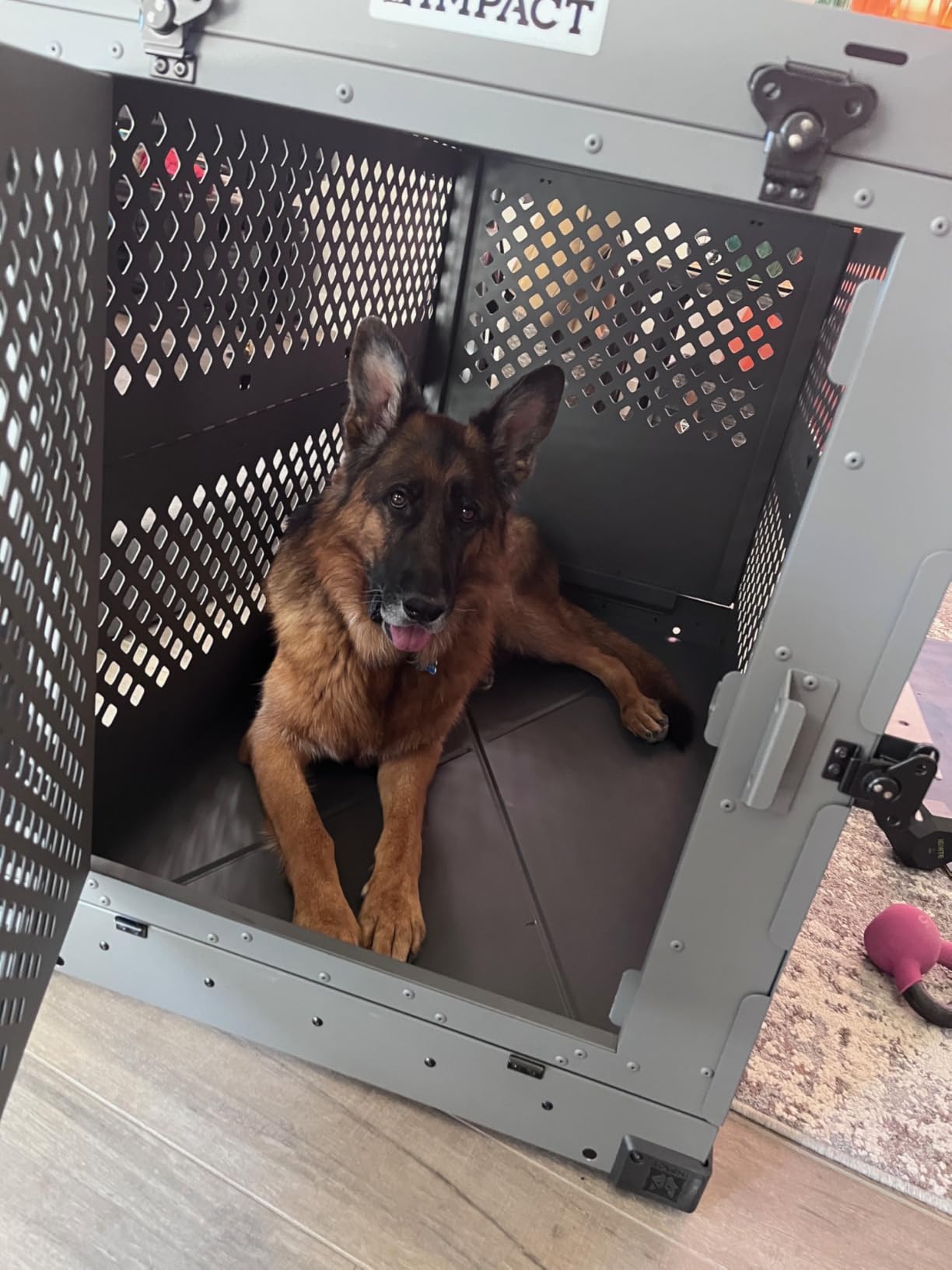 Impact Collapsible Dog Crate - Heavy Duty Travel Aluminum Kennel, Black 30