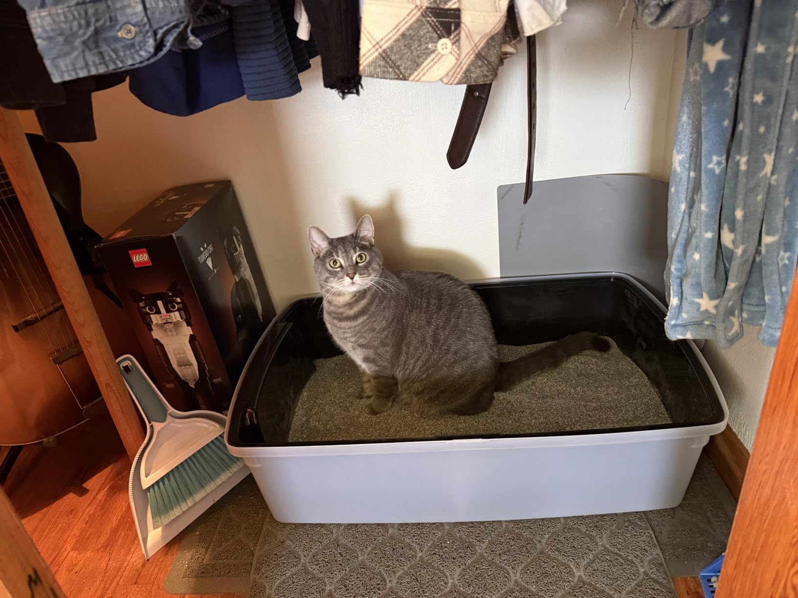 IRIS USA XX-Large High Sided Cat Litter Box, Scatter Shield, Black customer photo 2