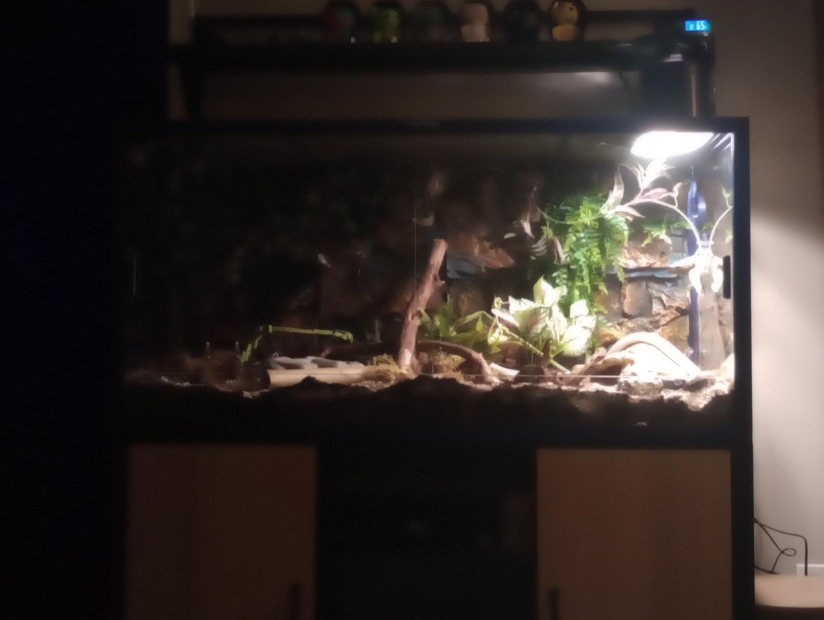Phailozoo 120 Gallon Reptile Tank, Stackable 4x2x2 Reptile Enclosure customer photo 2