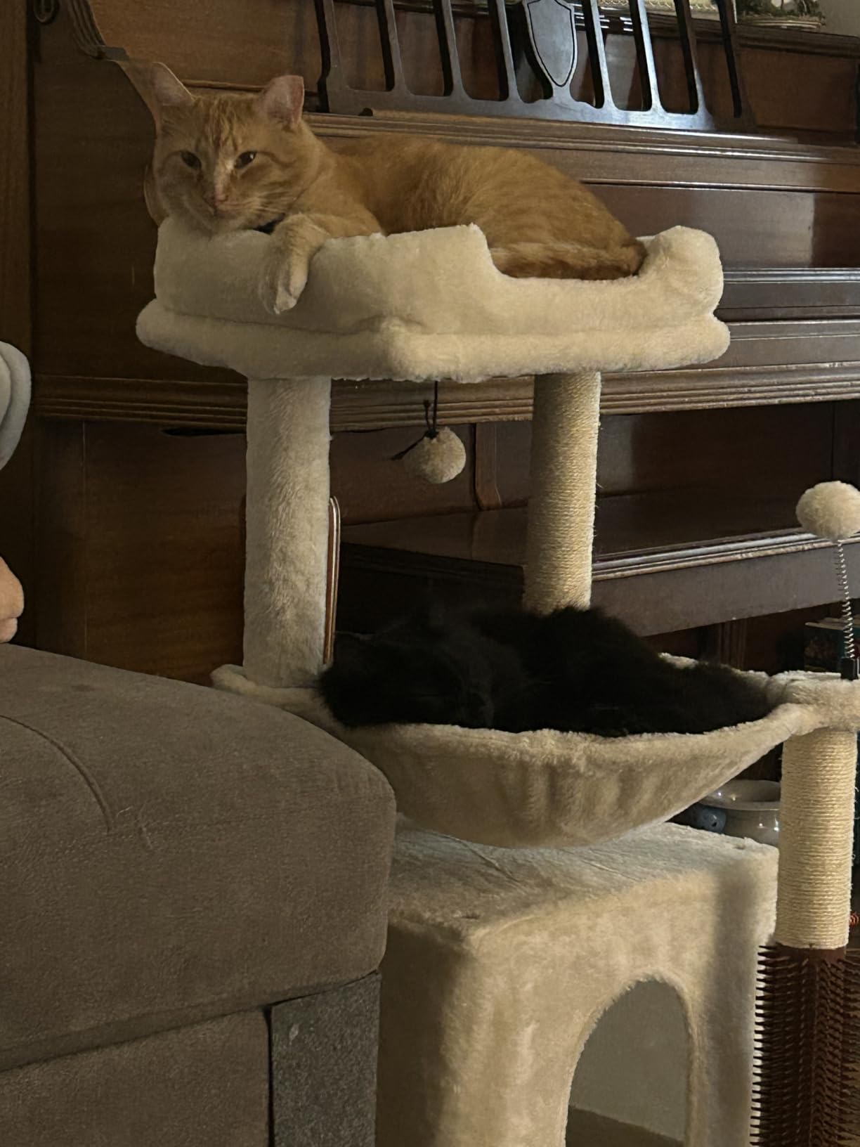 Cat Tree 32” Small Cat Tower with Large Hammock 16”& Self Groomer customer photo 1