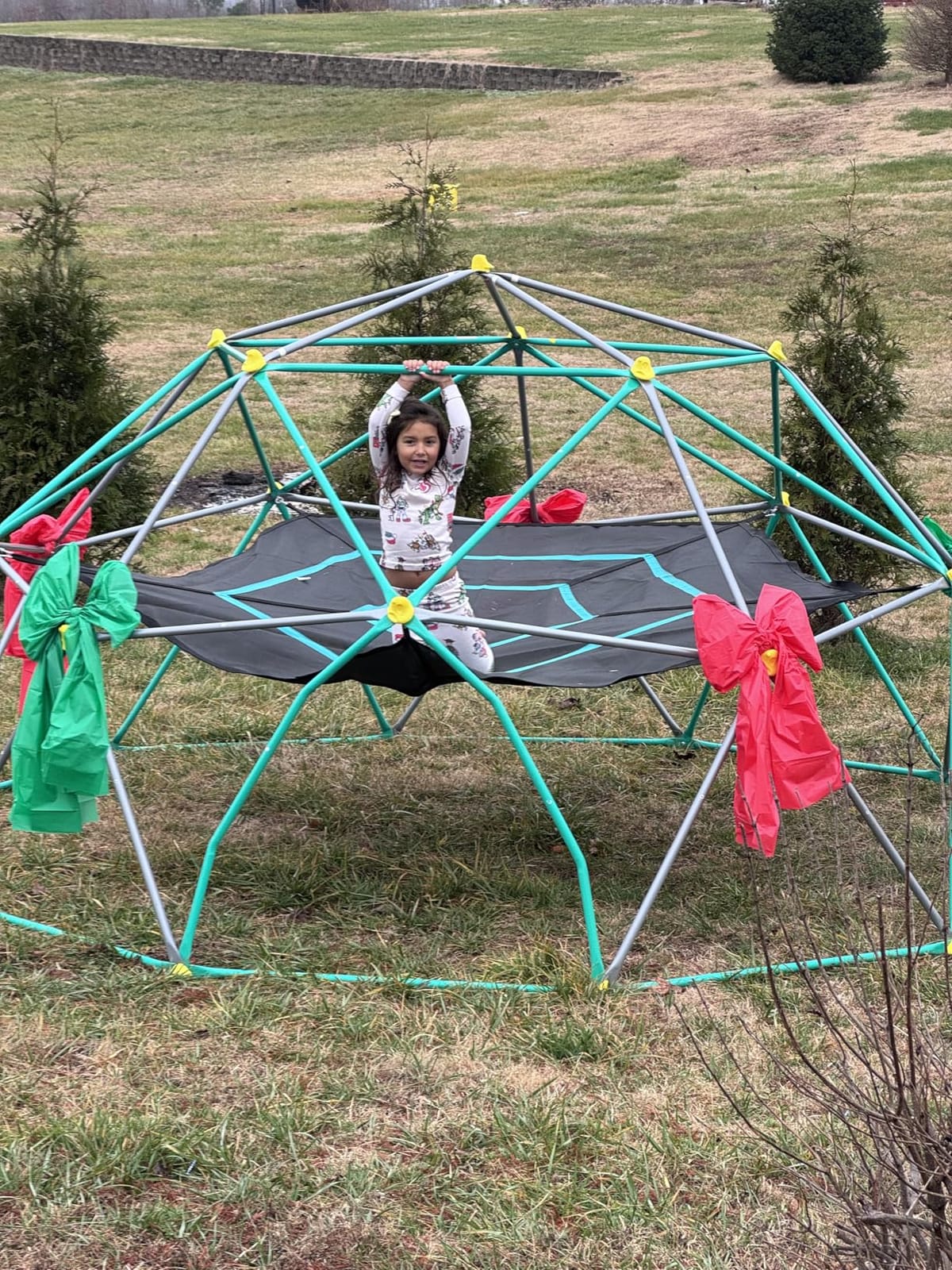 Merax 13FT Climbing Dome with Hammock, Outdoor Geometric Dome Climber customer photo 2