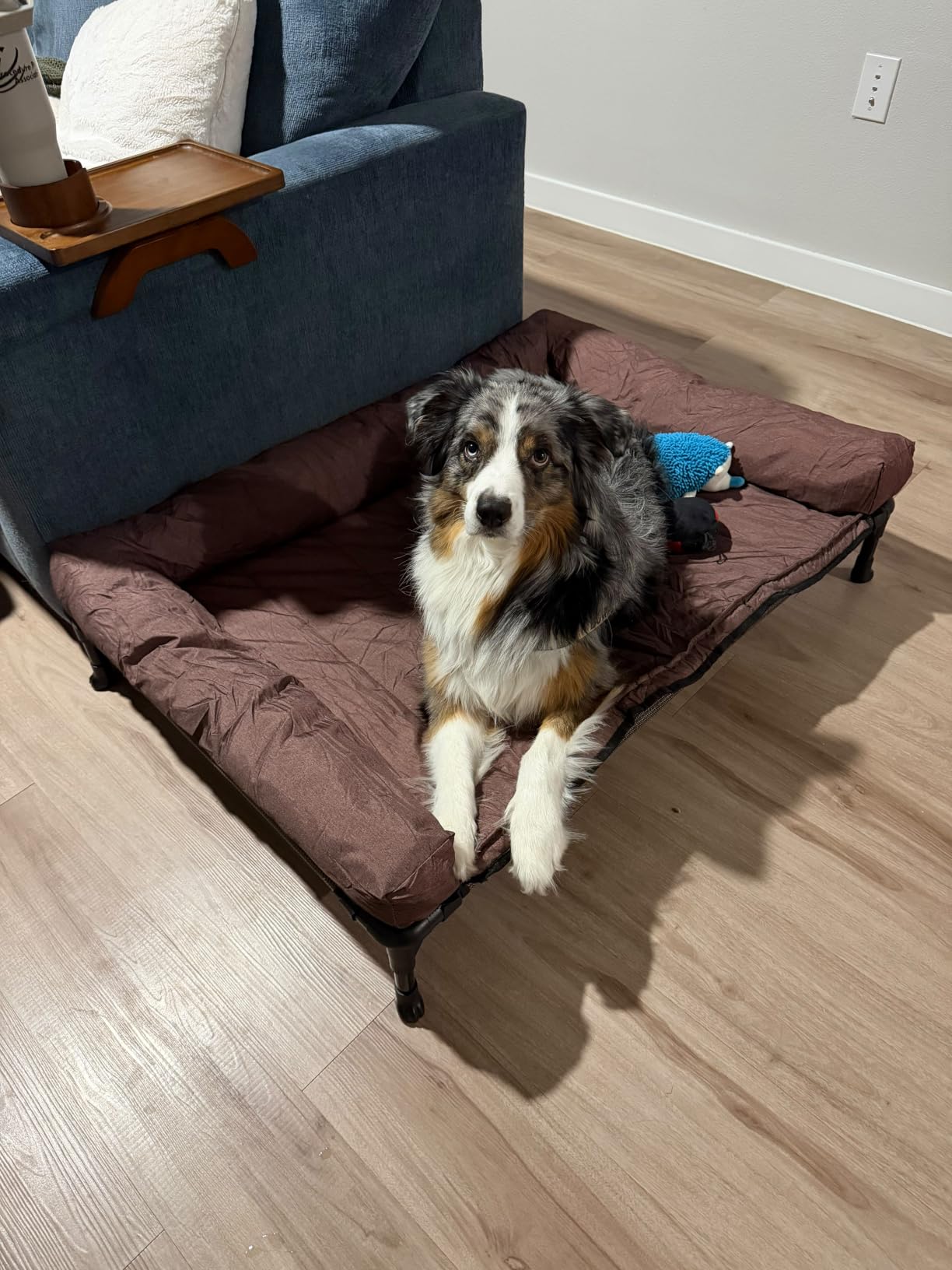 Veehoo Outdoor Elevated Dog Bed with Waterproof Bolster Cushion, Cooling | Raised Dog Bed with Removable & Washable Mat Topper, Breathable Mesh, Dog Couch Cot for Indoor Outdoor, 42