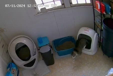 Meowant Self-Cleaning Cat Litter Box, 75L Extra Large Open-Top, APP Control customer photo 2