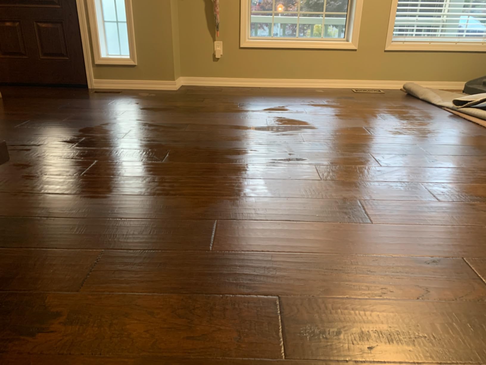 Shark Steam & Scrub Steam Mop, All-in-One Hard Floor Cleaner, Grey, S8001 customer photo 2