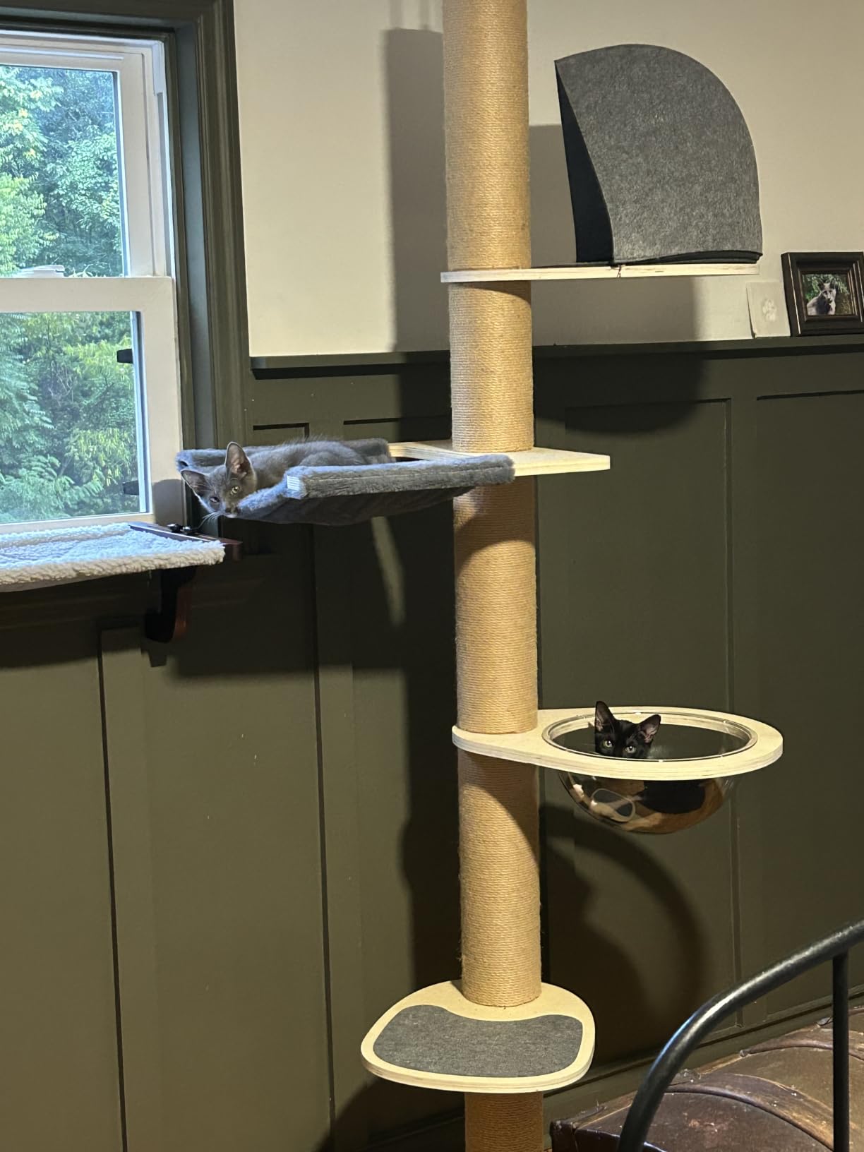 FUKUMARU Floor to Ceiling Cat Tree, 6-10 ft, 6 Level, Grey customer photo 2