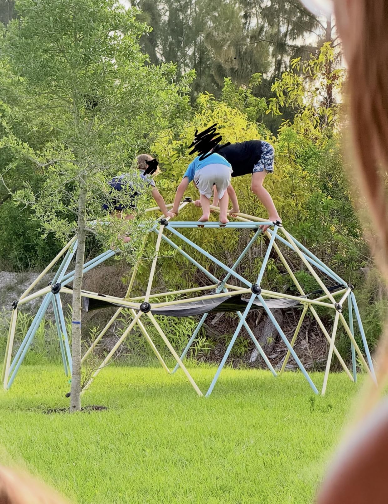 VEVOR Climbing Dome for Kids 3 to 10 Years Old 10FT Geometric Dome Climber customer photo 2