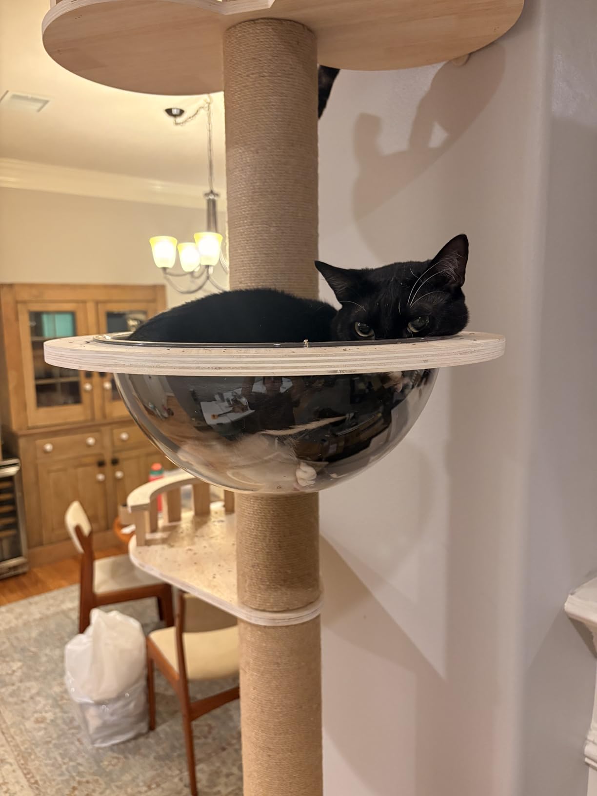 Veehoo Floor to Ceiling Cat Tree,102-122